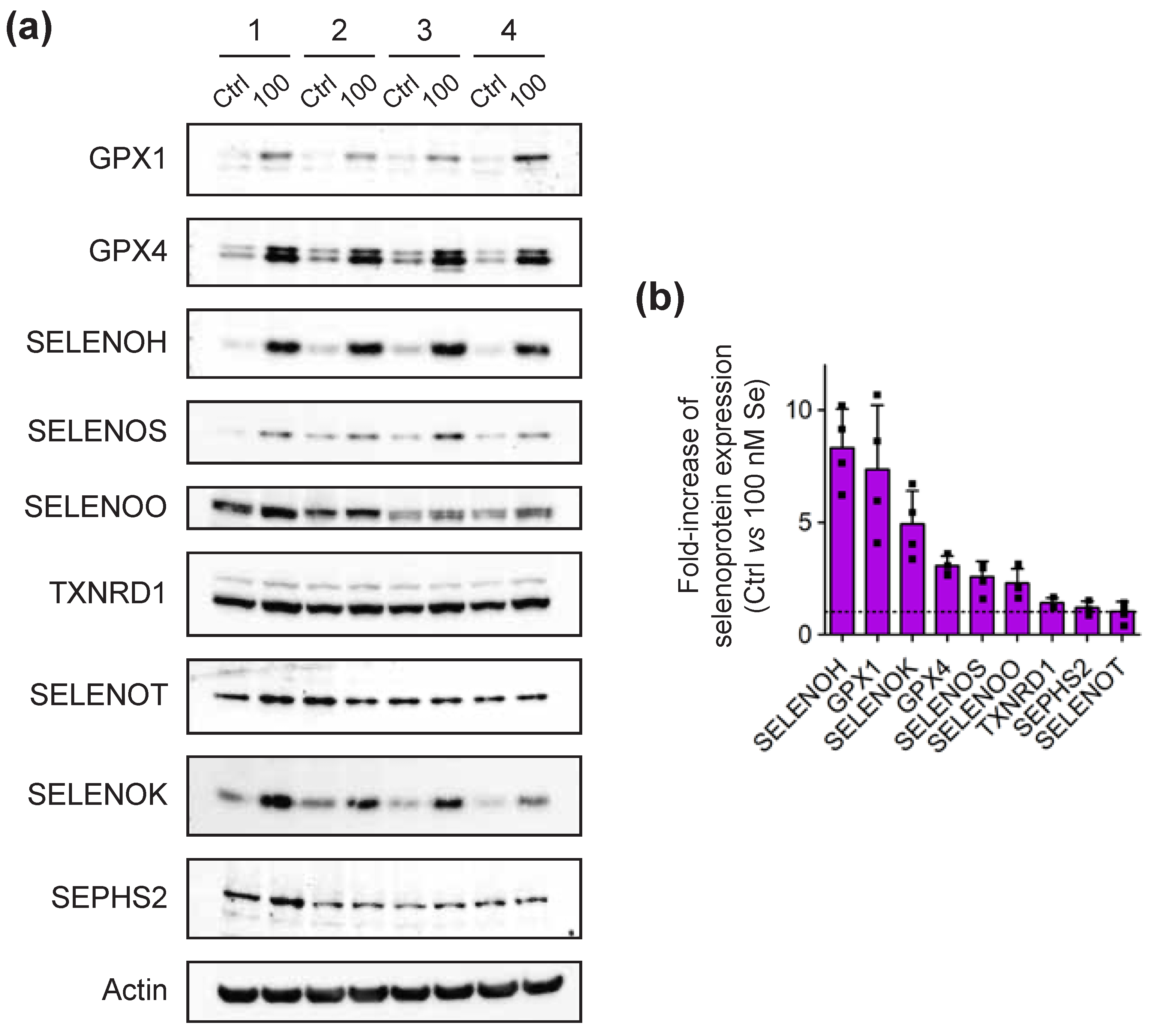 Ijms 23 01394 g005 550