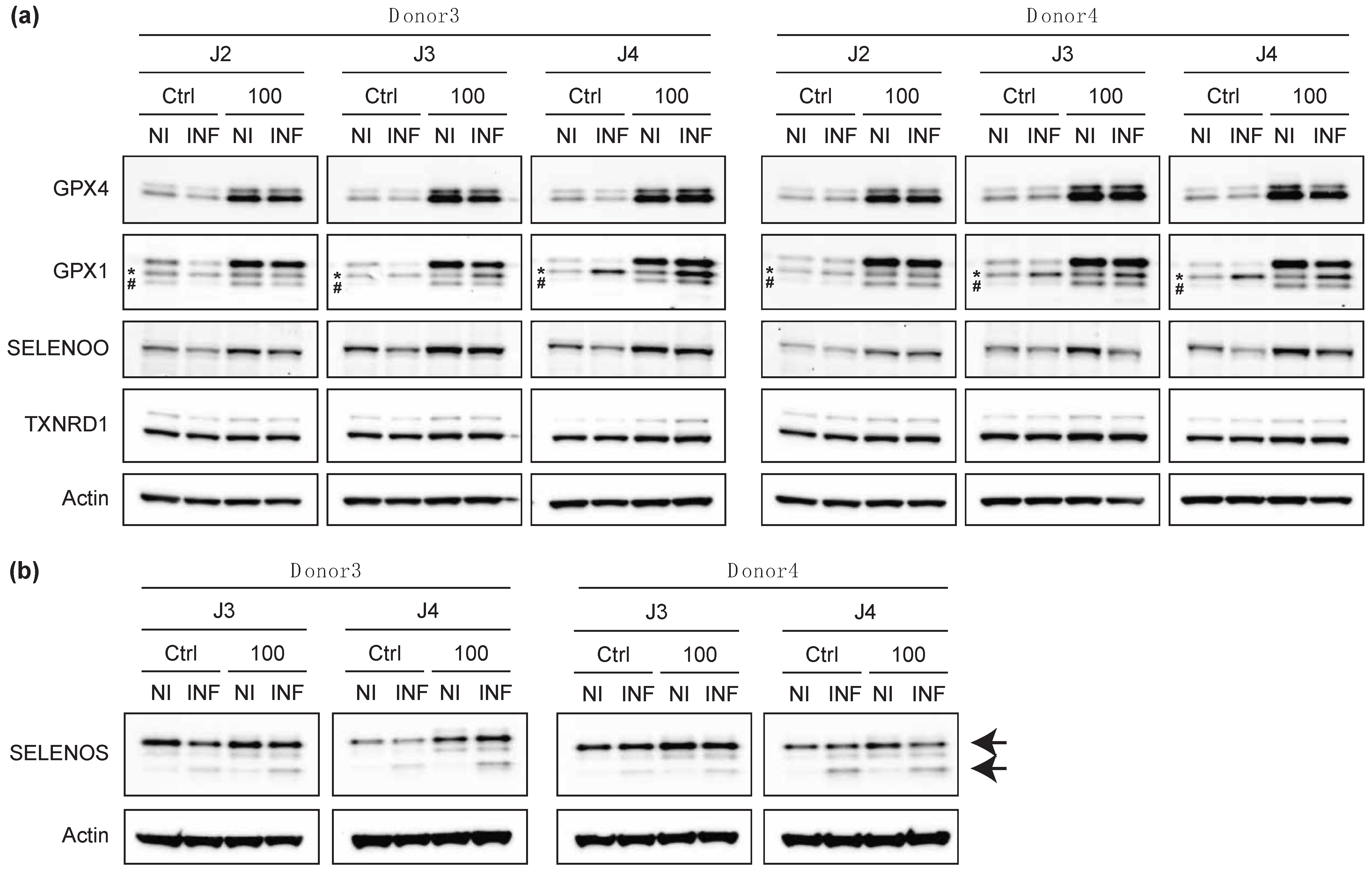 Ijms 23 01394 g009 550