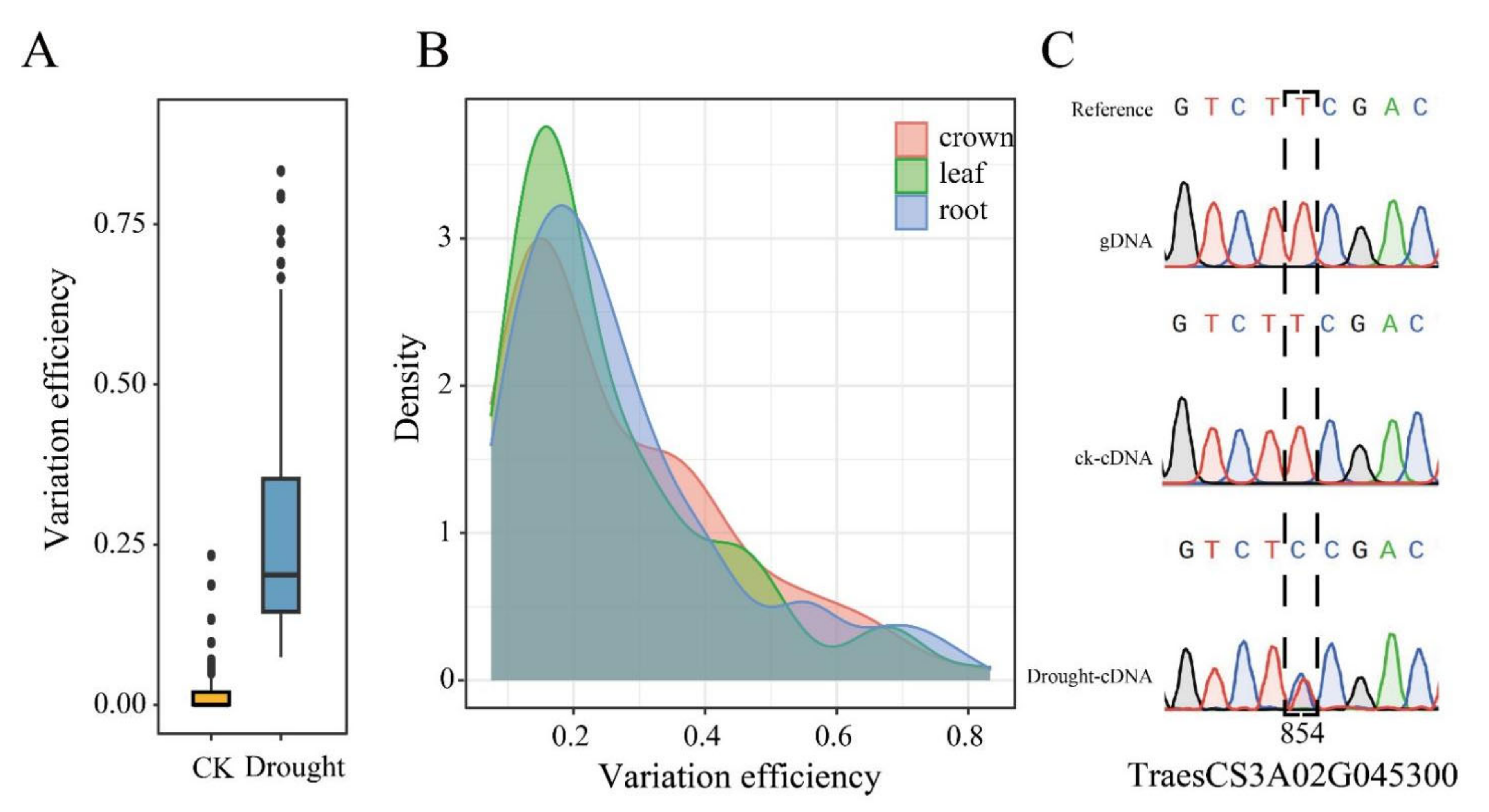 Ijms 23 01405 g003 550