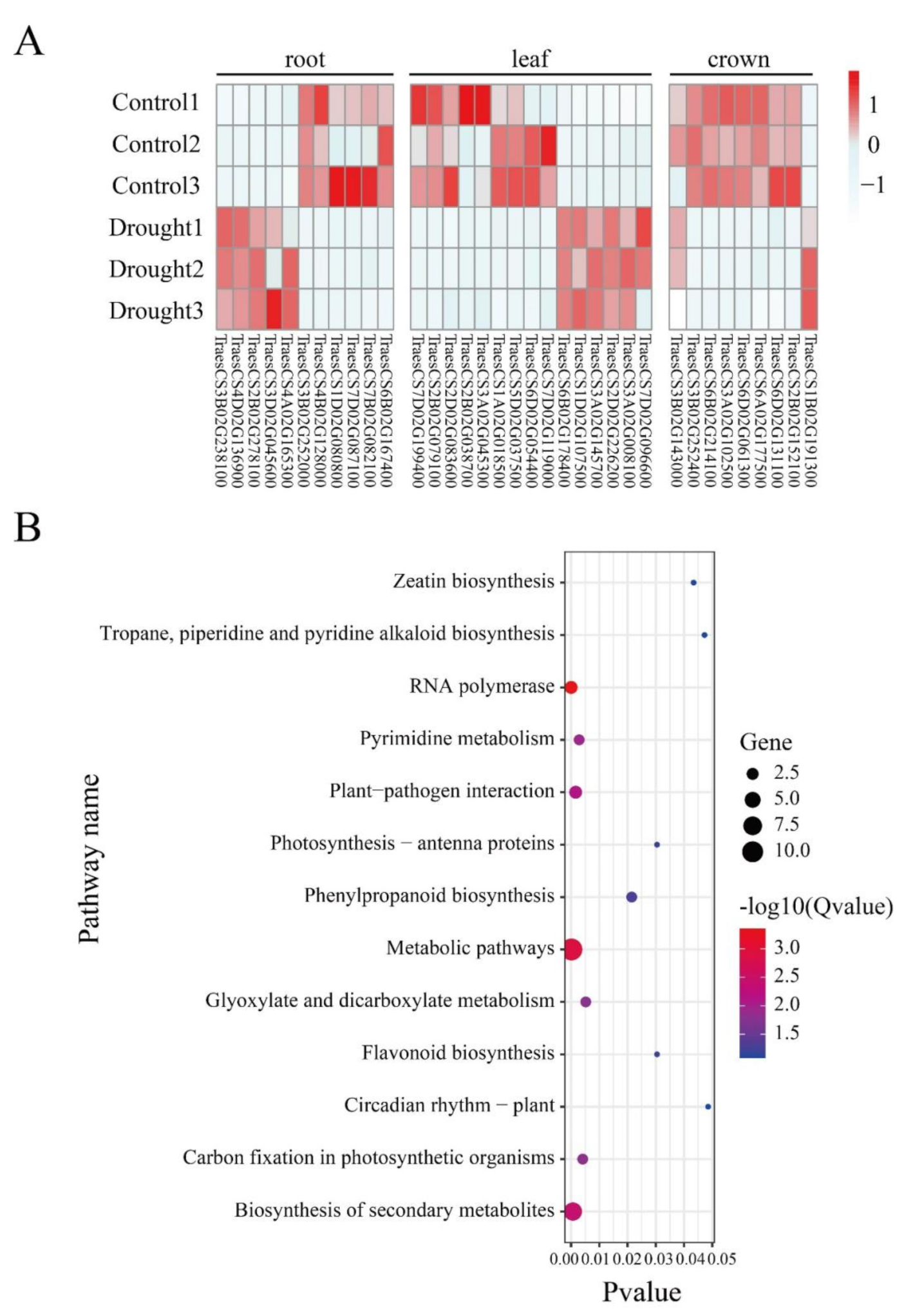 Ijms 23 01405 g004 550