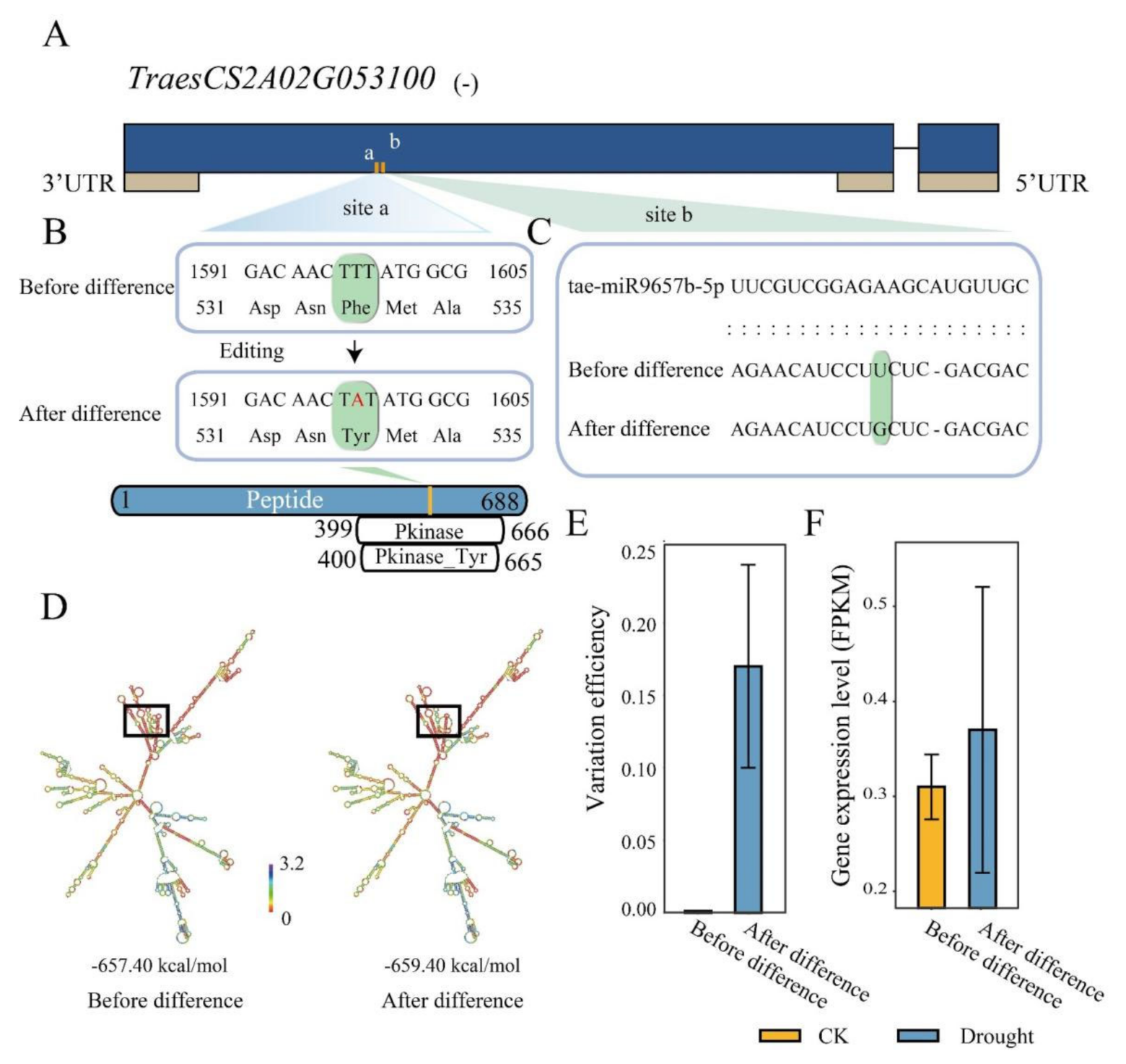 Ijms 23 01405 g005 550