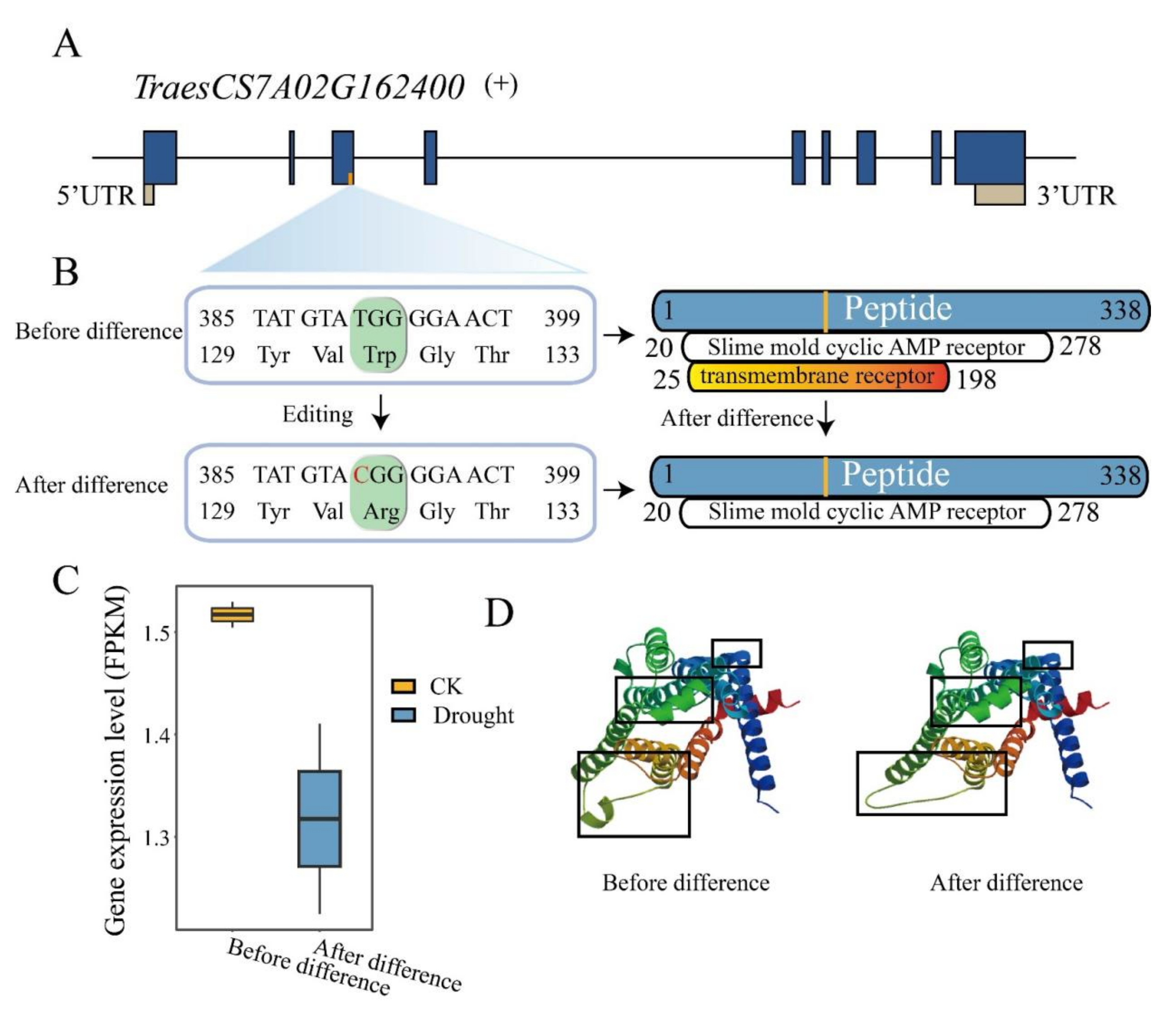 Ijms 23 01405 g006 550