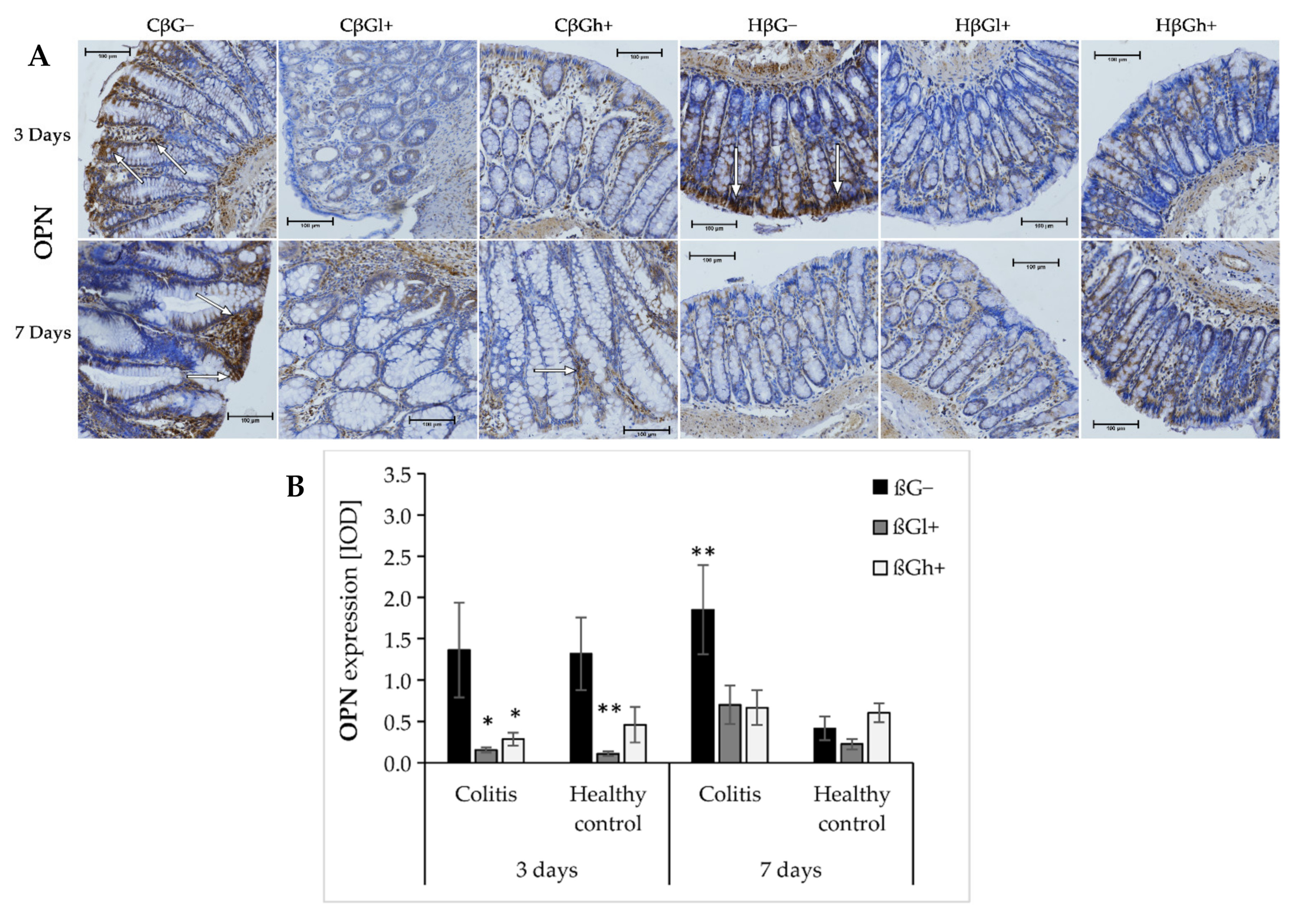 Ijms 23 01406 g005 550