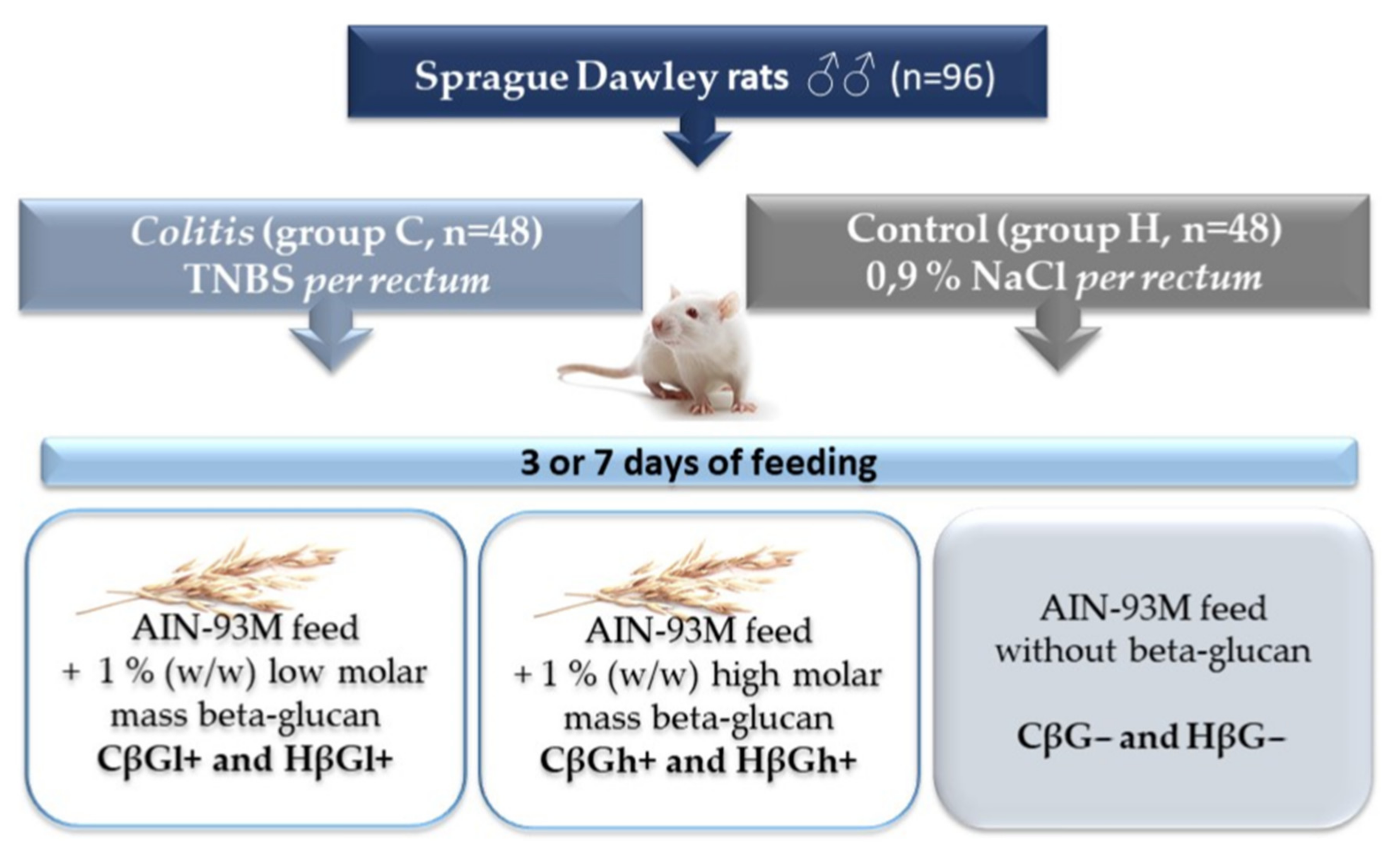 Ijms 23 01406 g007 550