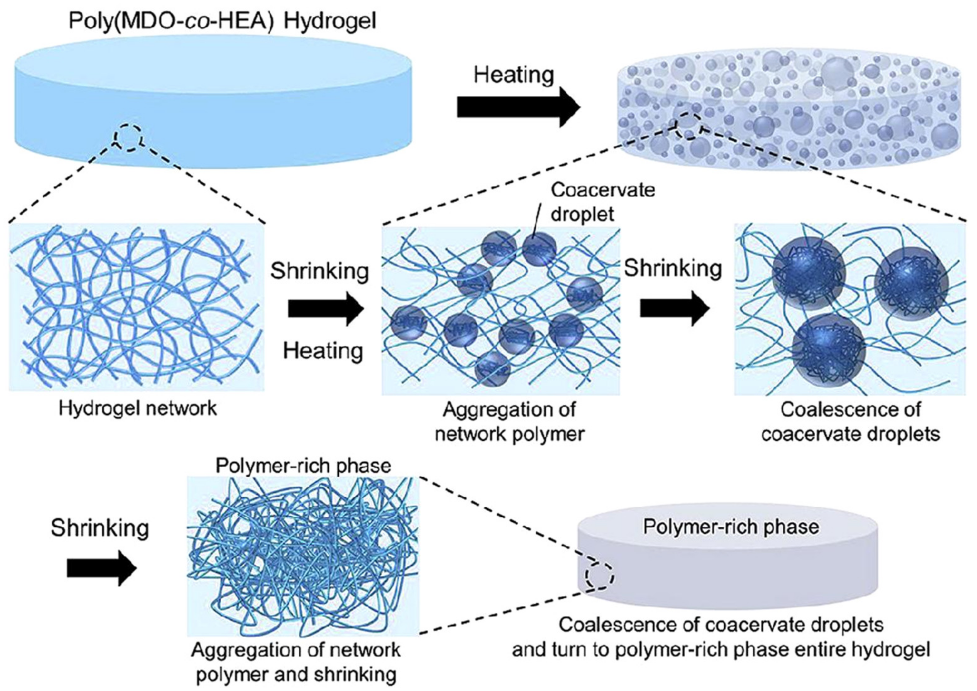 Ijms 23 01415 g004 550