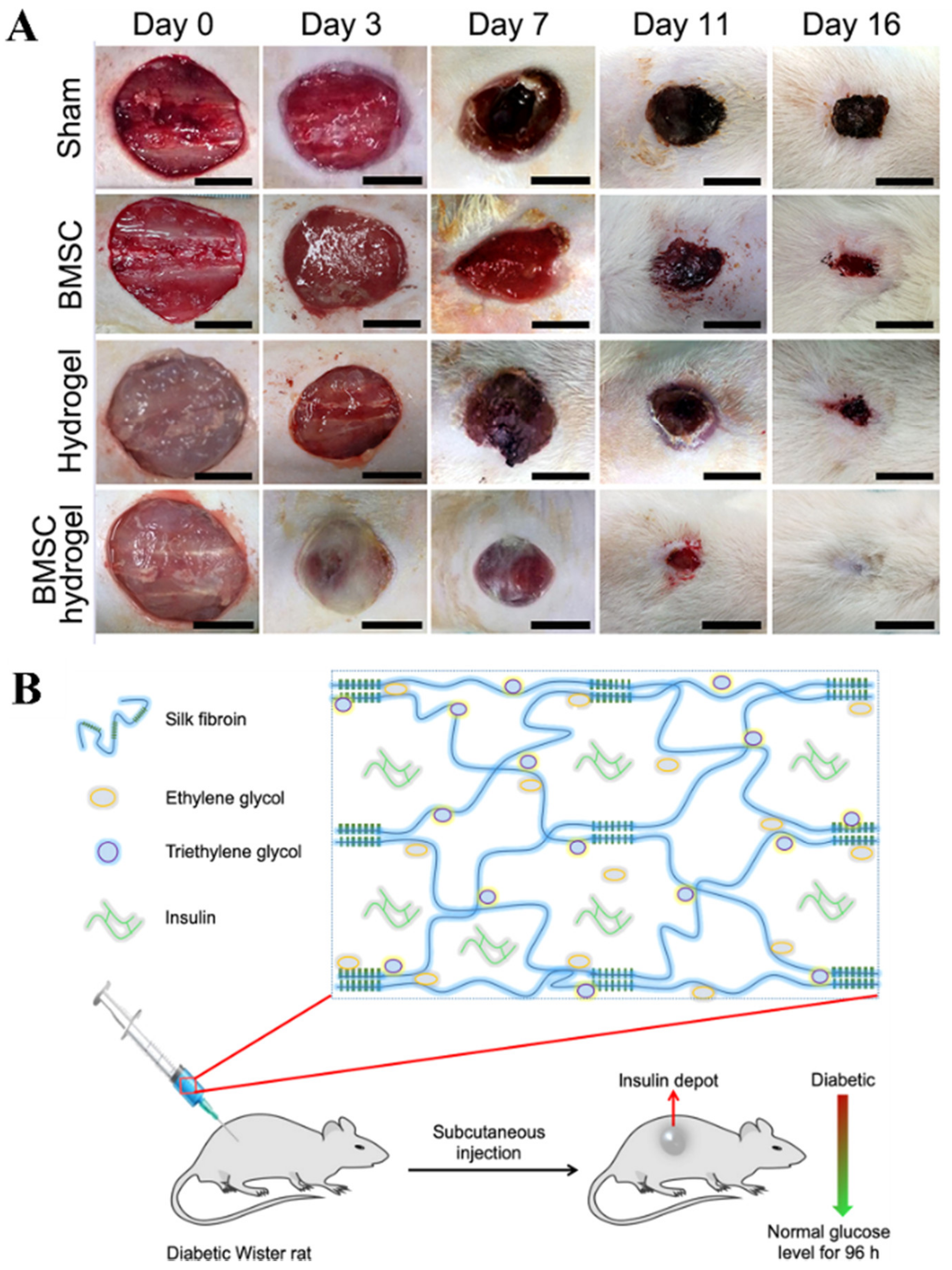 Ijms 23 01415 g006 550