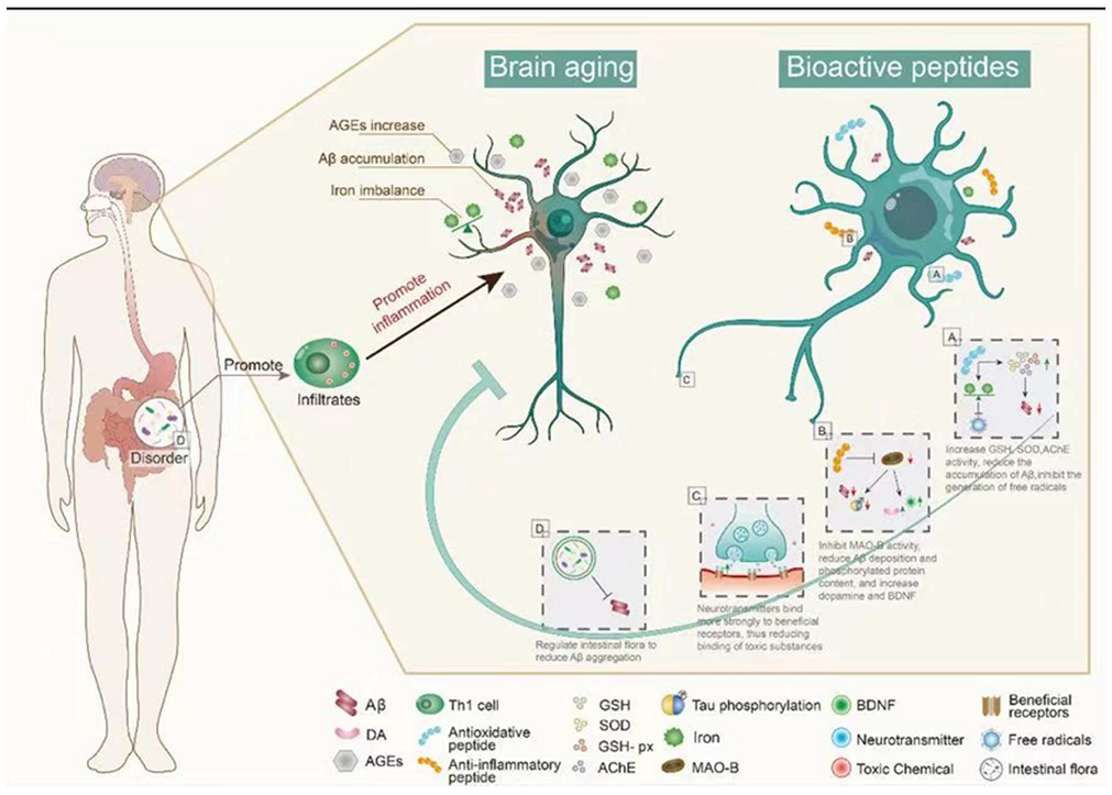 Ijms 23 01421 g002 Ijms 23 01421 g002
