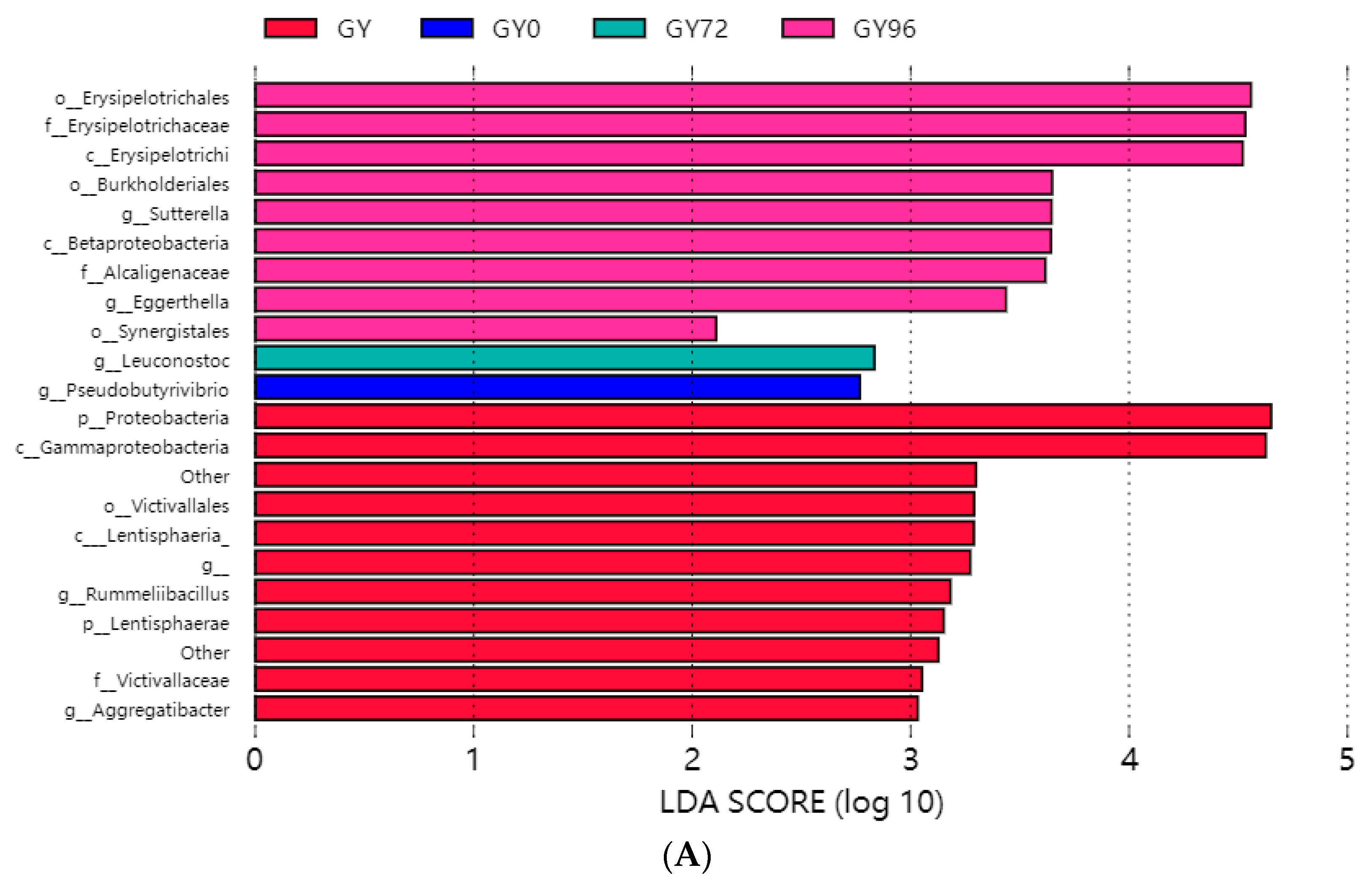 Ijms 23 01424 g007a Ijms 23 01424 g007a