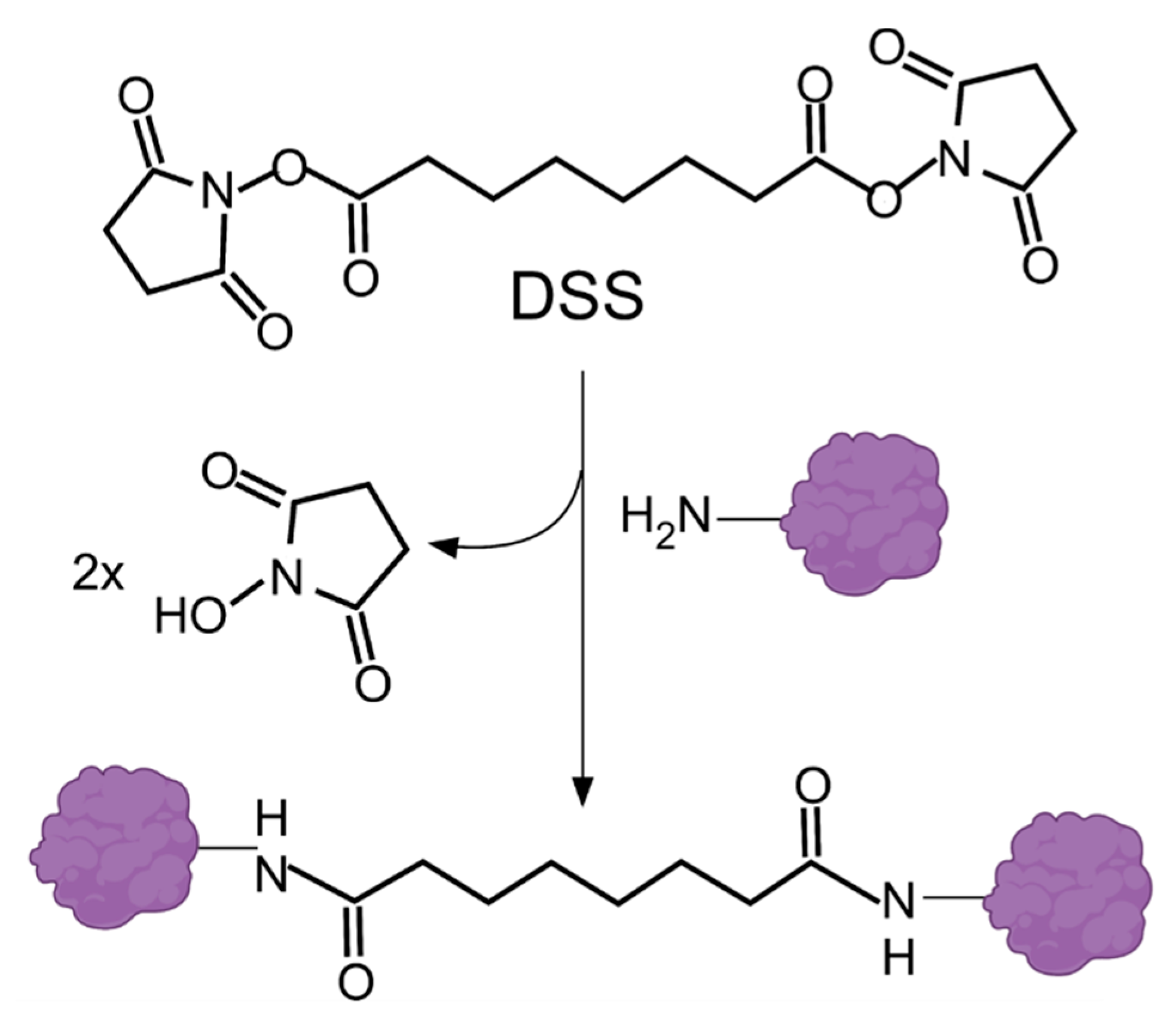Ijms 23 01426 g003 Ijms 23 01426 g003