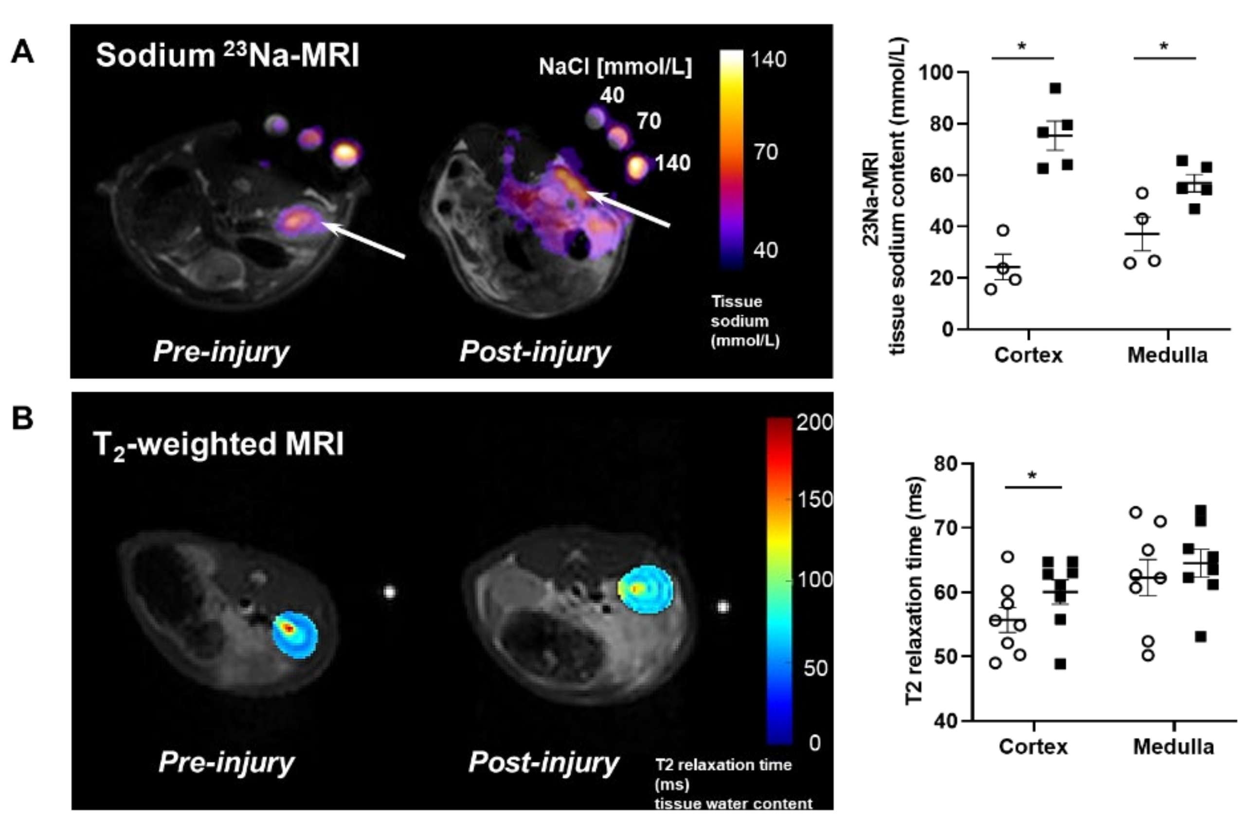 Ijms 23 01428 g001 550