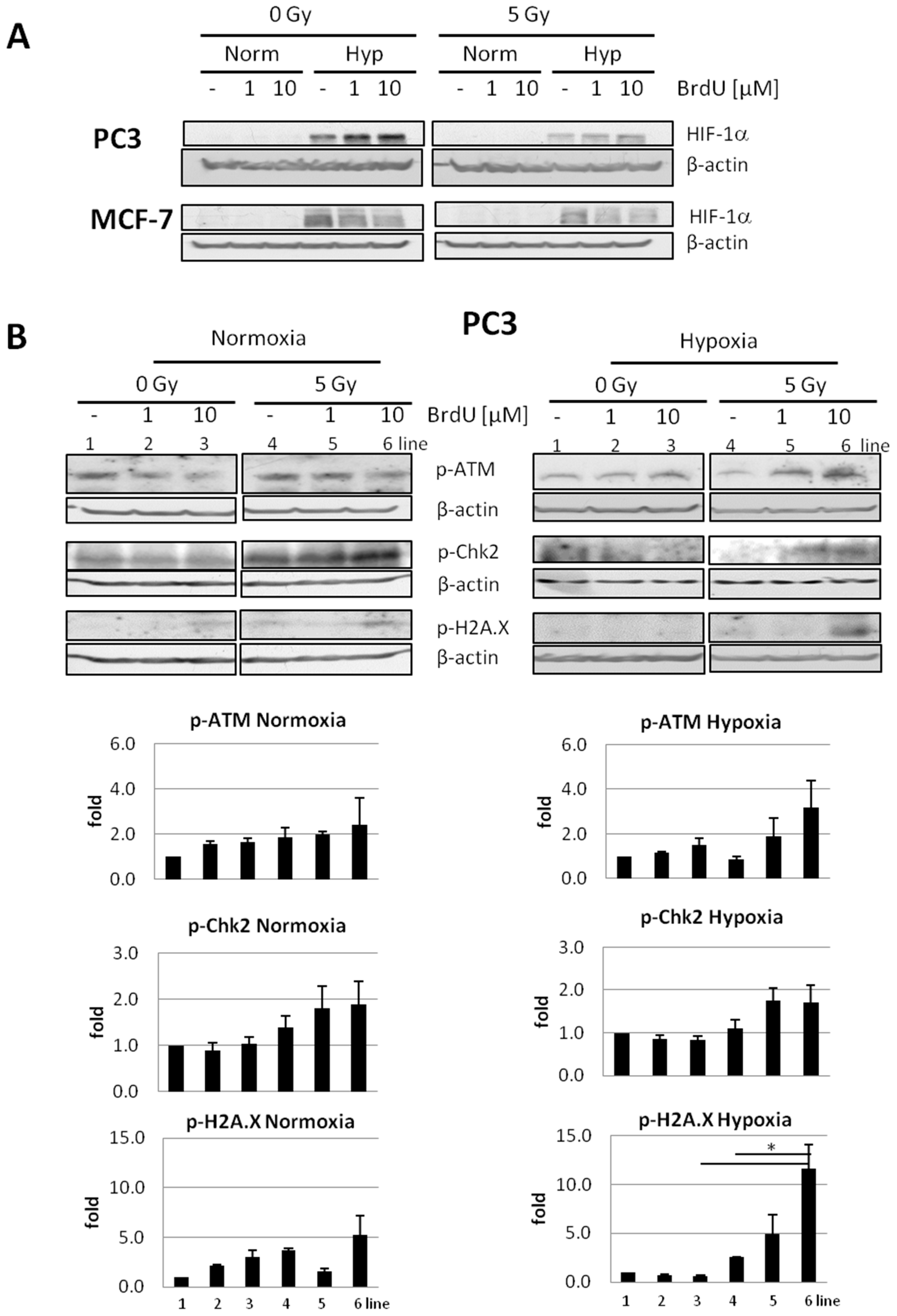 Ijms 23 01429 g005a 550