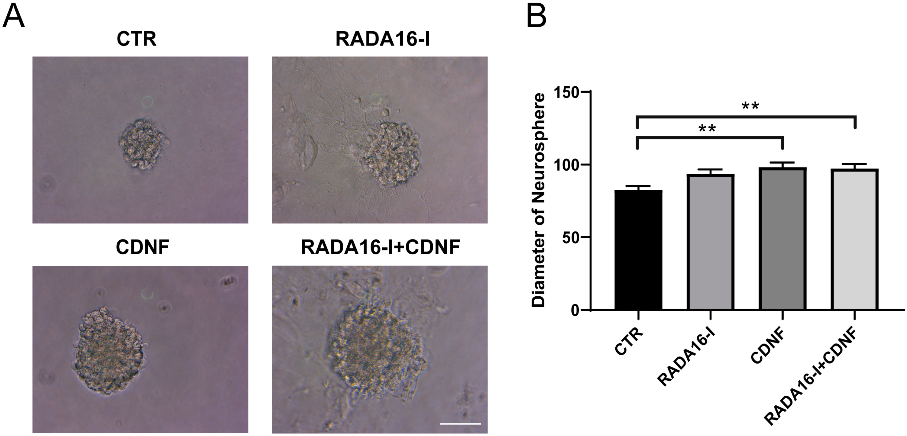 Ijms 23 01436 g001 550