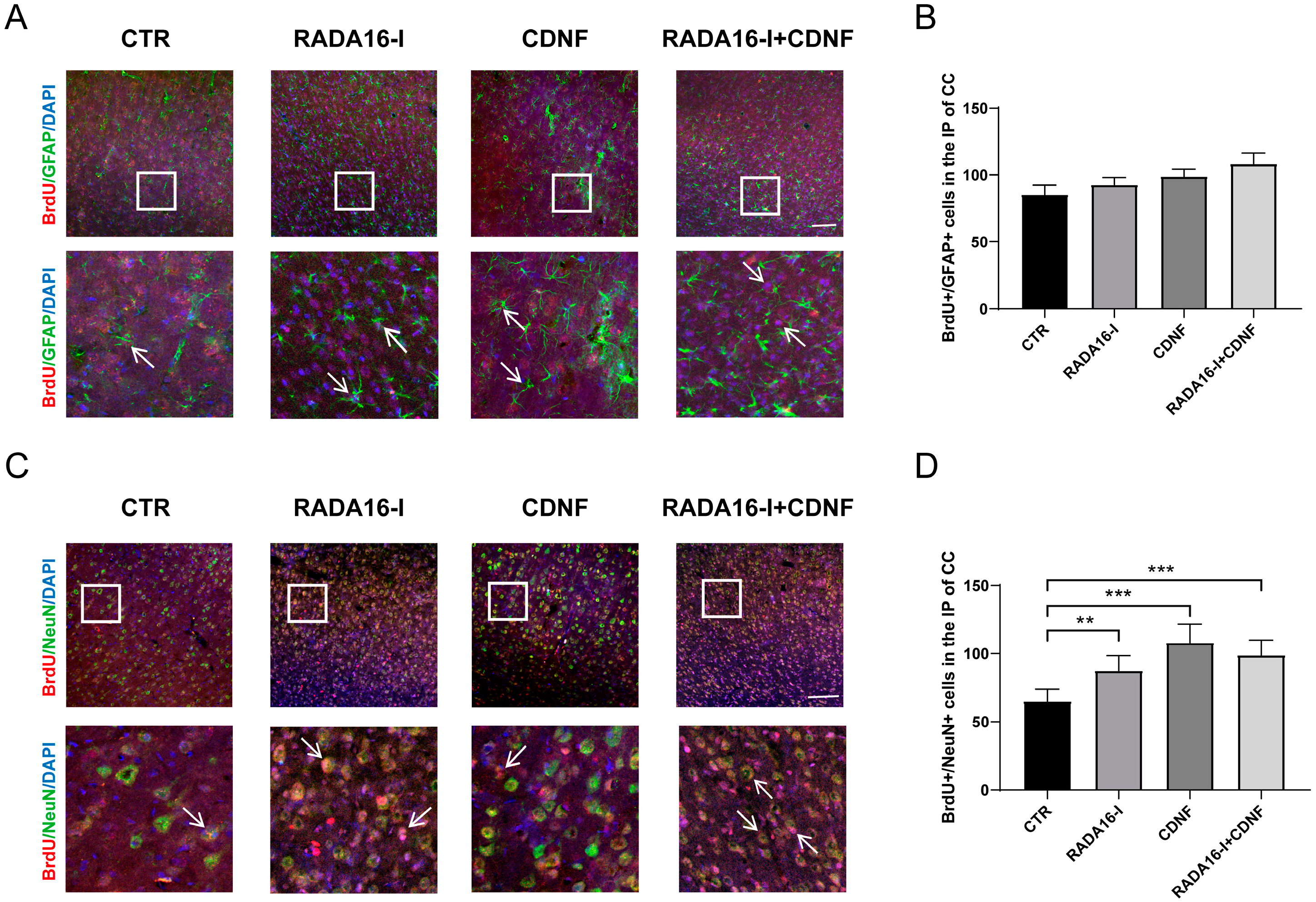 Ijms 23 01436 g005 550