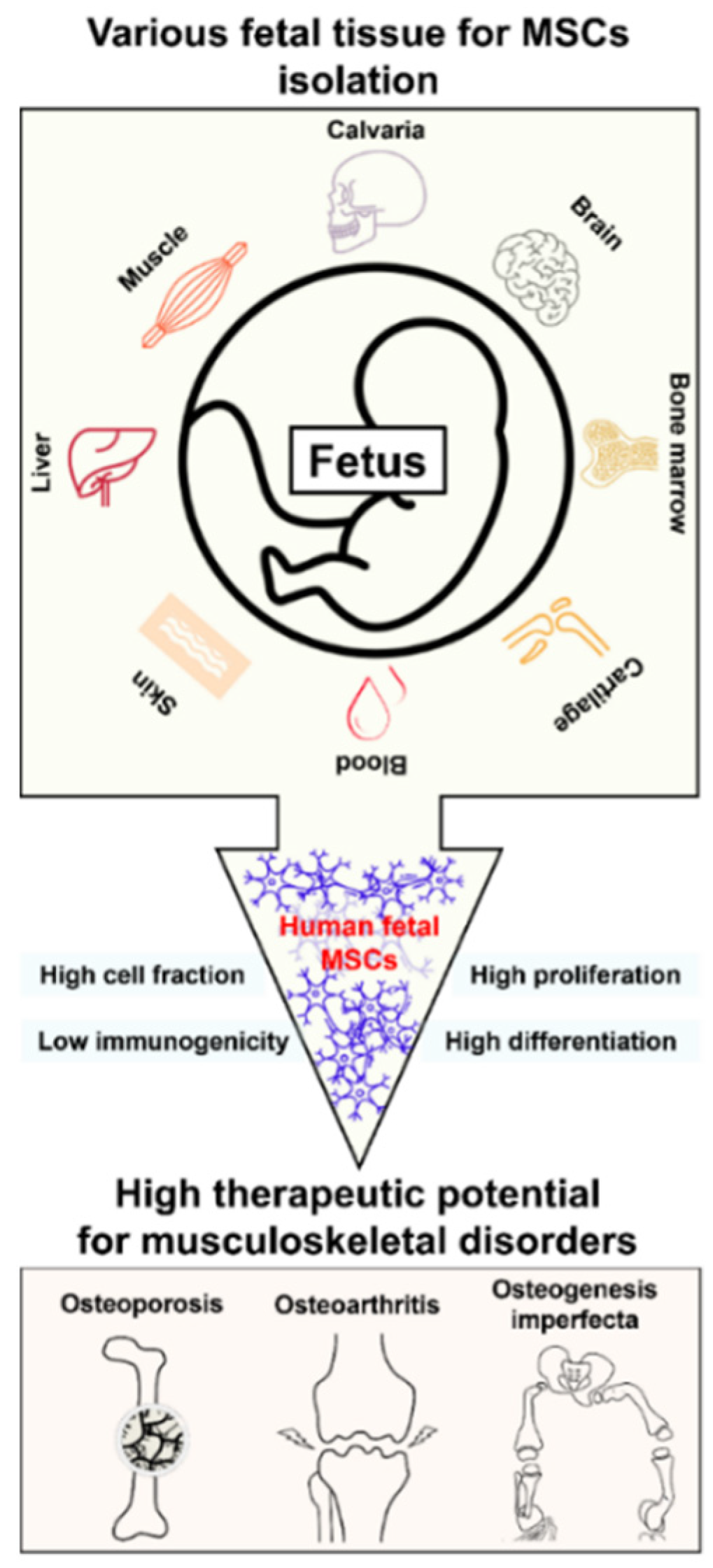 Ijms 23 01439 g001 Ijms 23 01439 g001