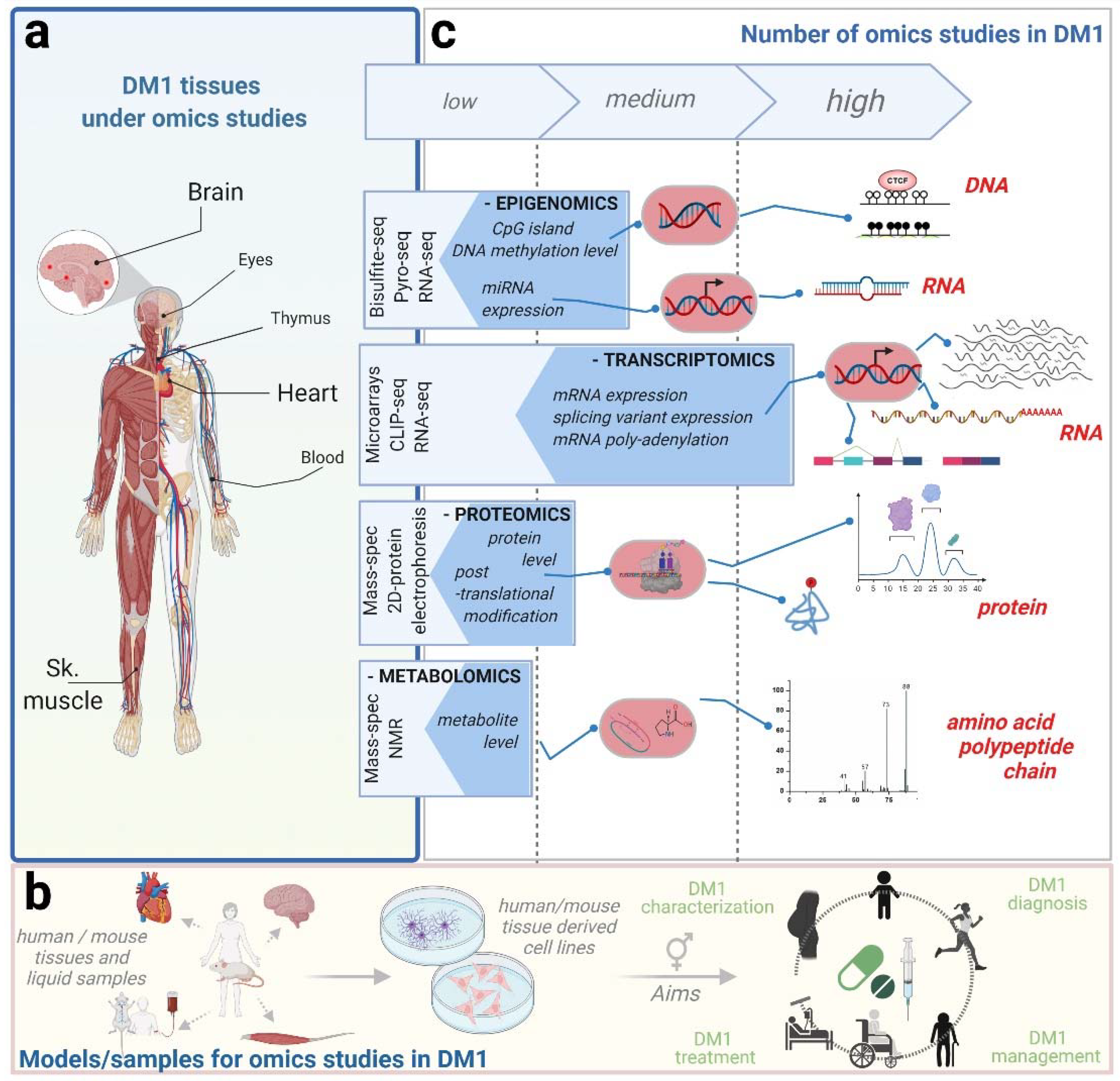 Ijms 23 01441 g001 550