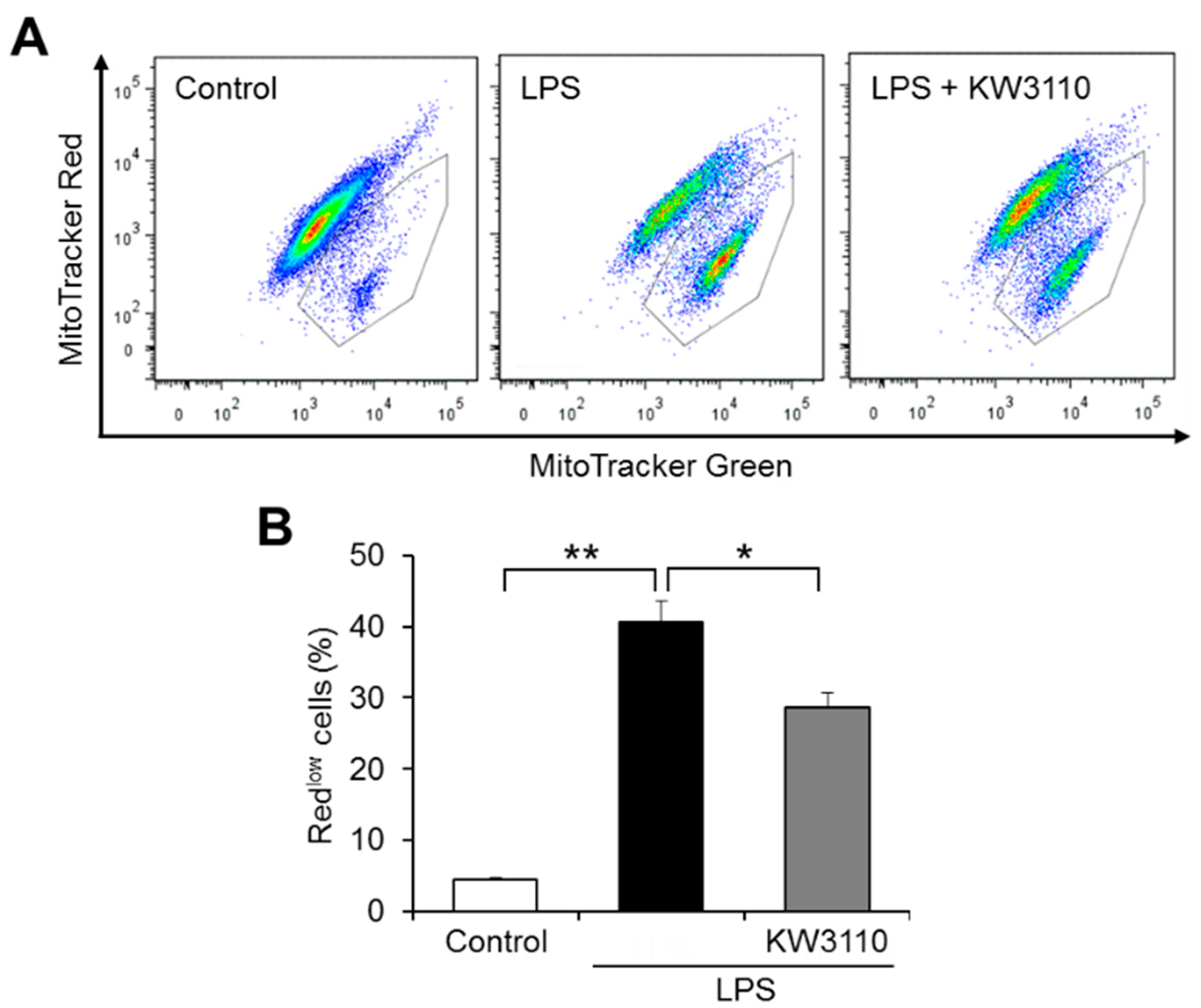 Ijms 23 01443 g001 Ijms 23 01443 g001