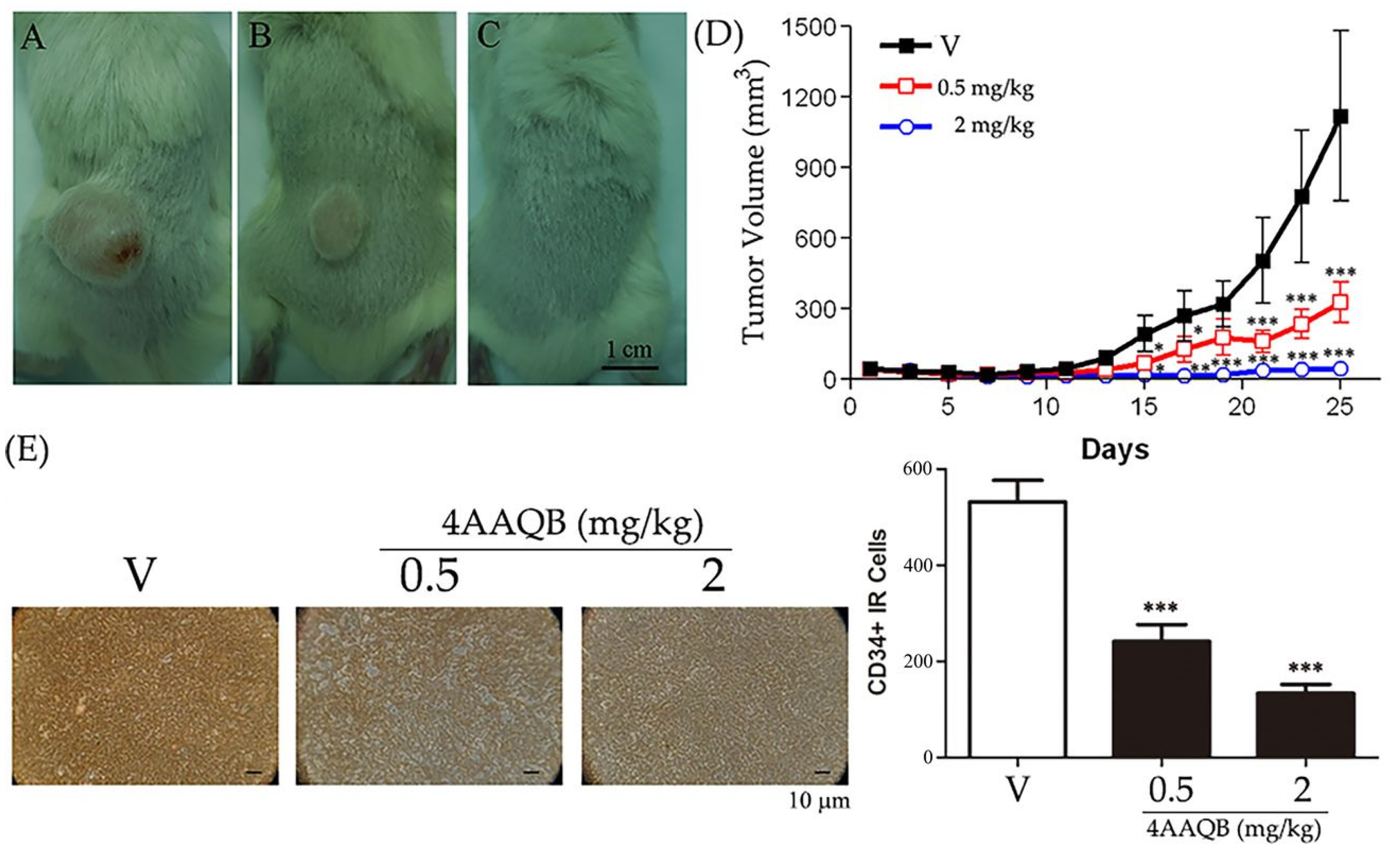 Ijms 23 01446 g003 550