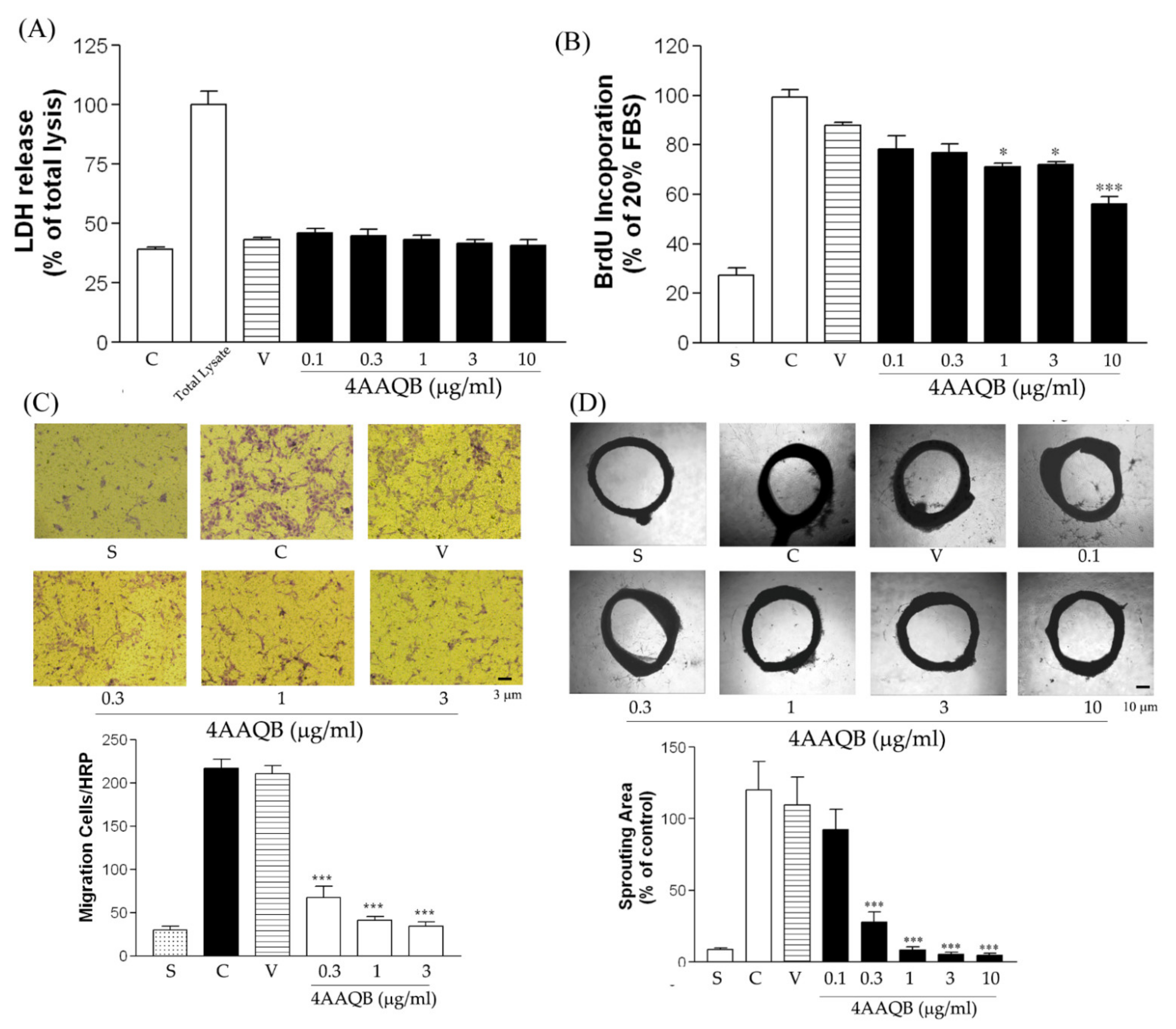Ijms 23 01446 g004 550