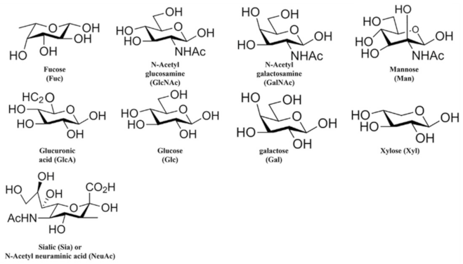 Ijms 23 01451 g002 Ijms 23 01451 g002