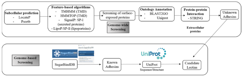 Ijms 23 01451 g003 Ijms 23 01451 g003