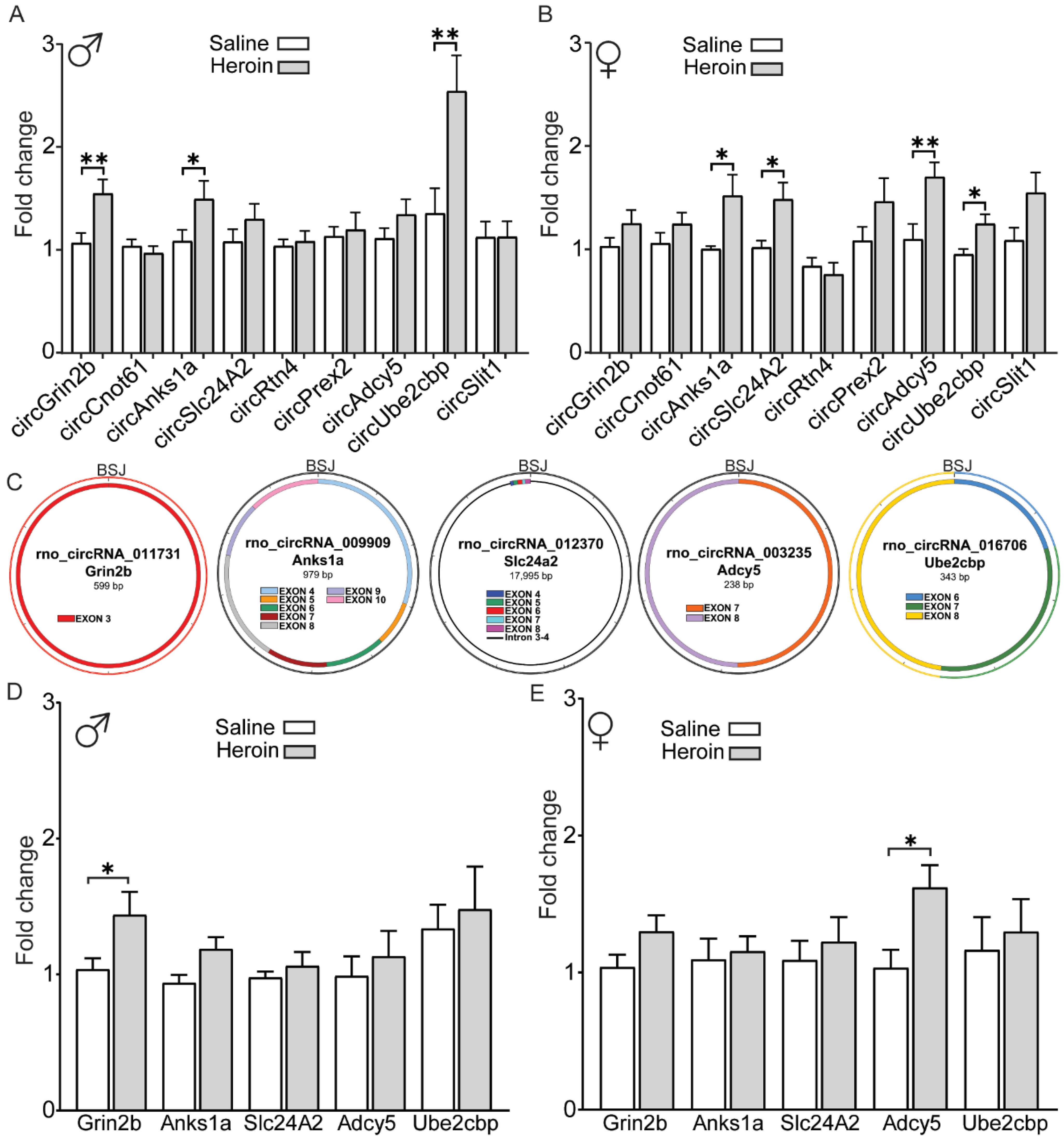 Ijms 23 01453 g004 550