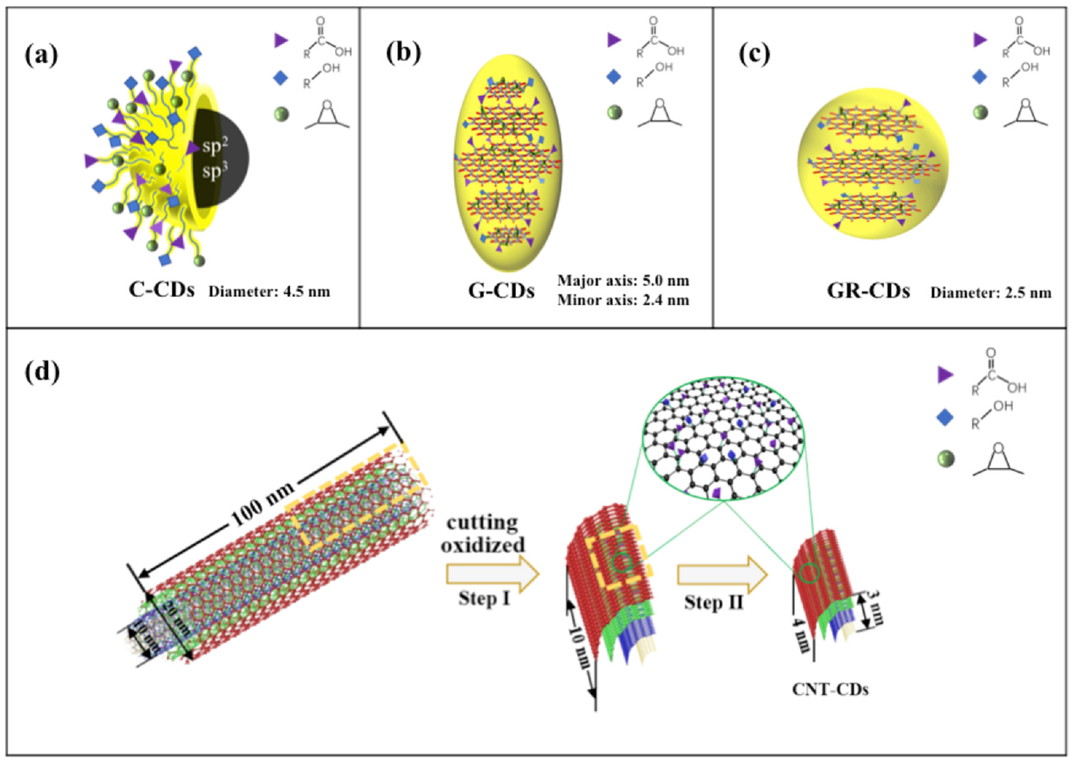 Ijms 23 01456 g008 550