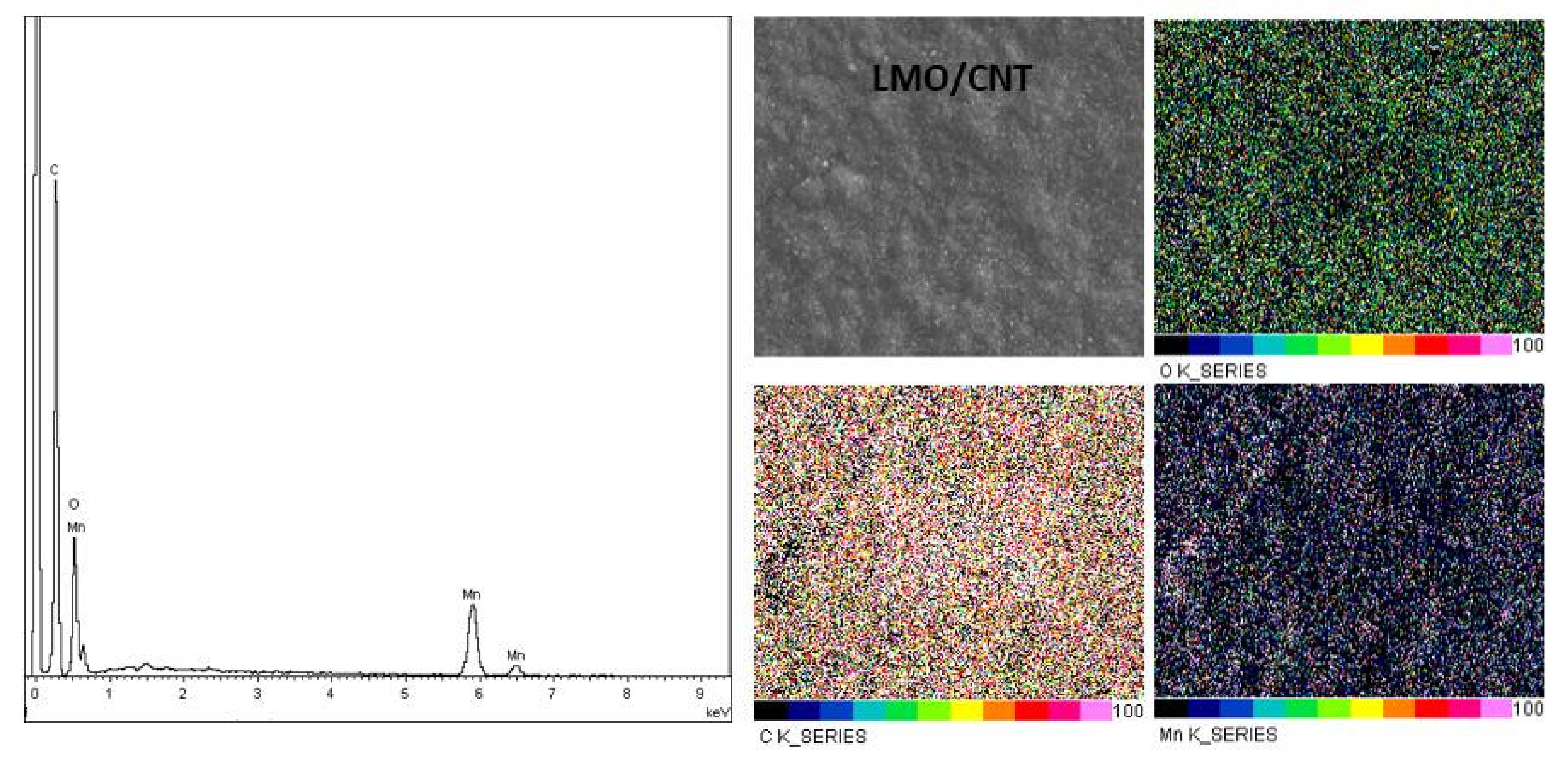 Ijms 23 01457 g004 550