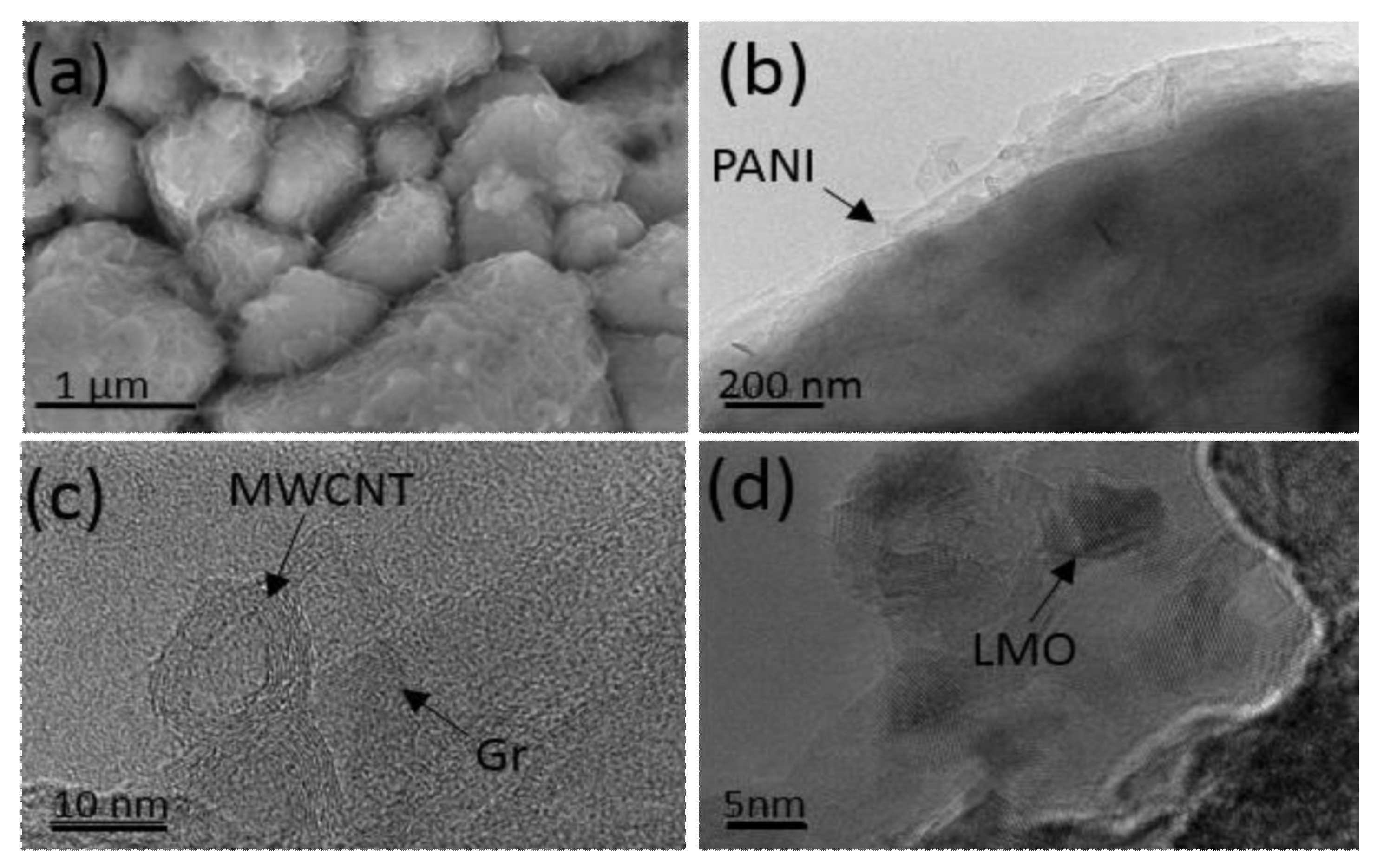 Ijms 23 01457 g005 550