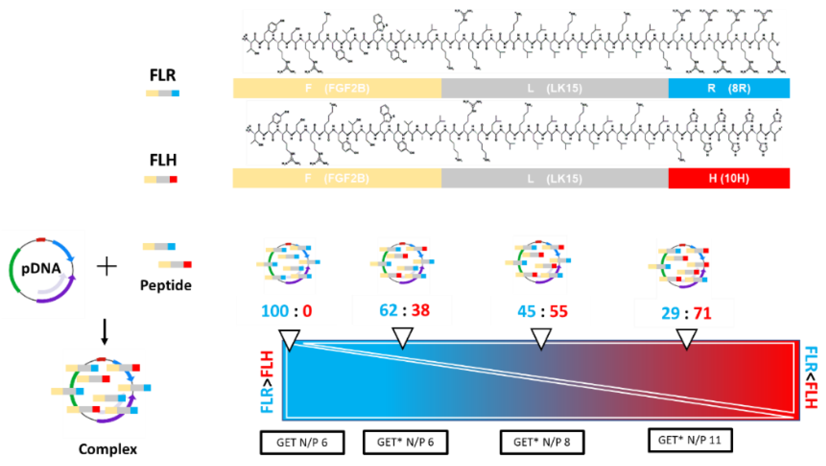 Ijms 23 01460 g001 550