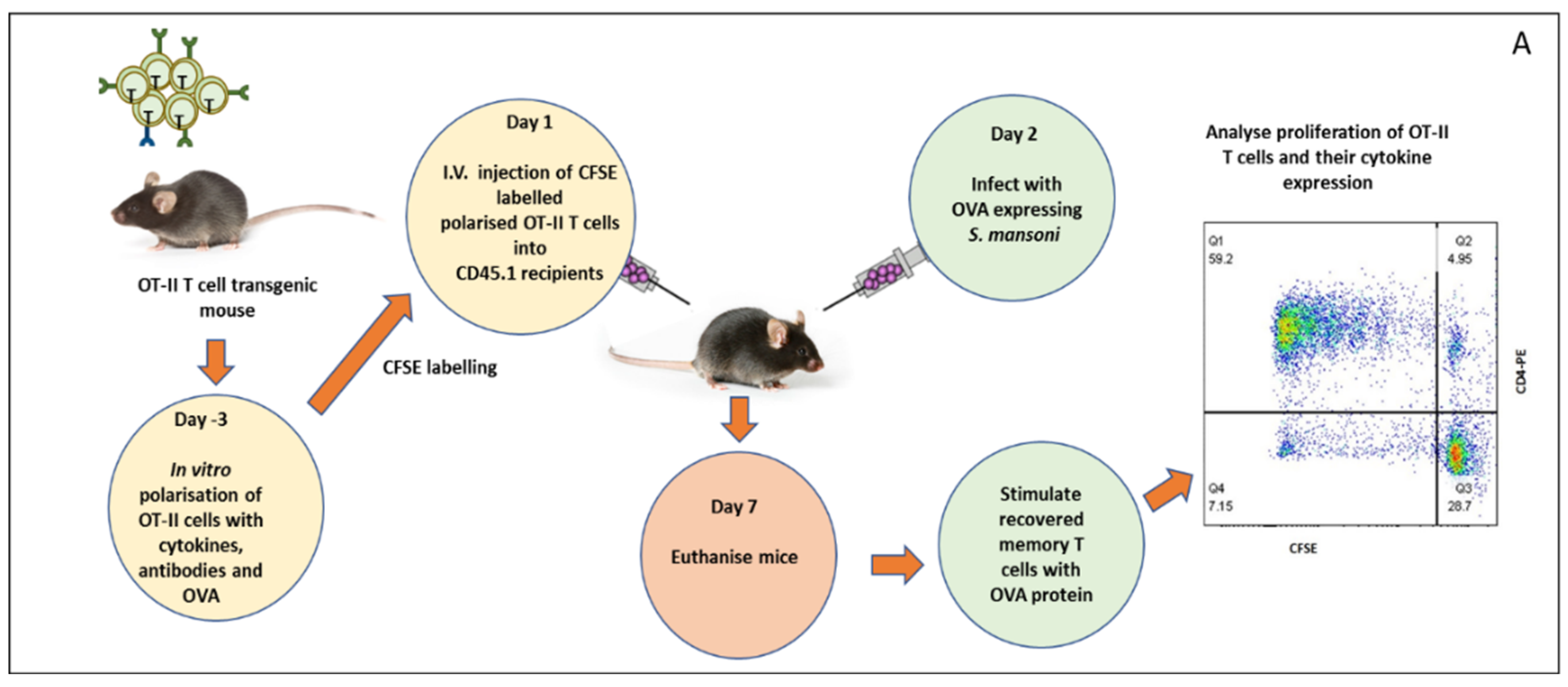 Ijms 23 01462 g004a 550