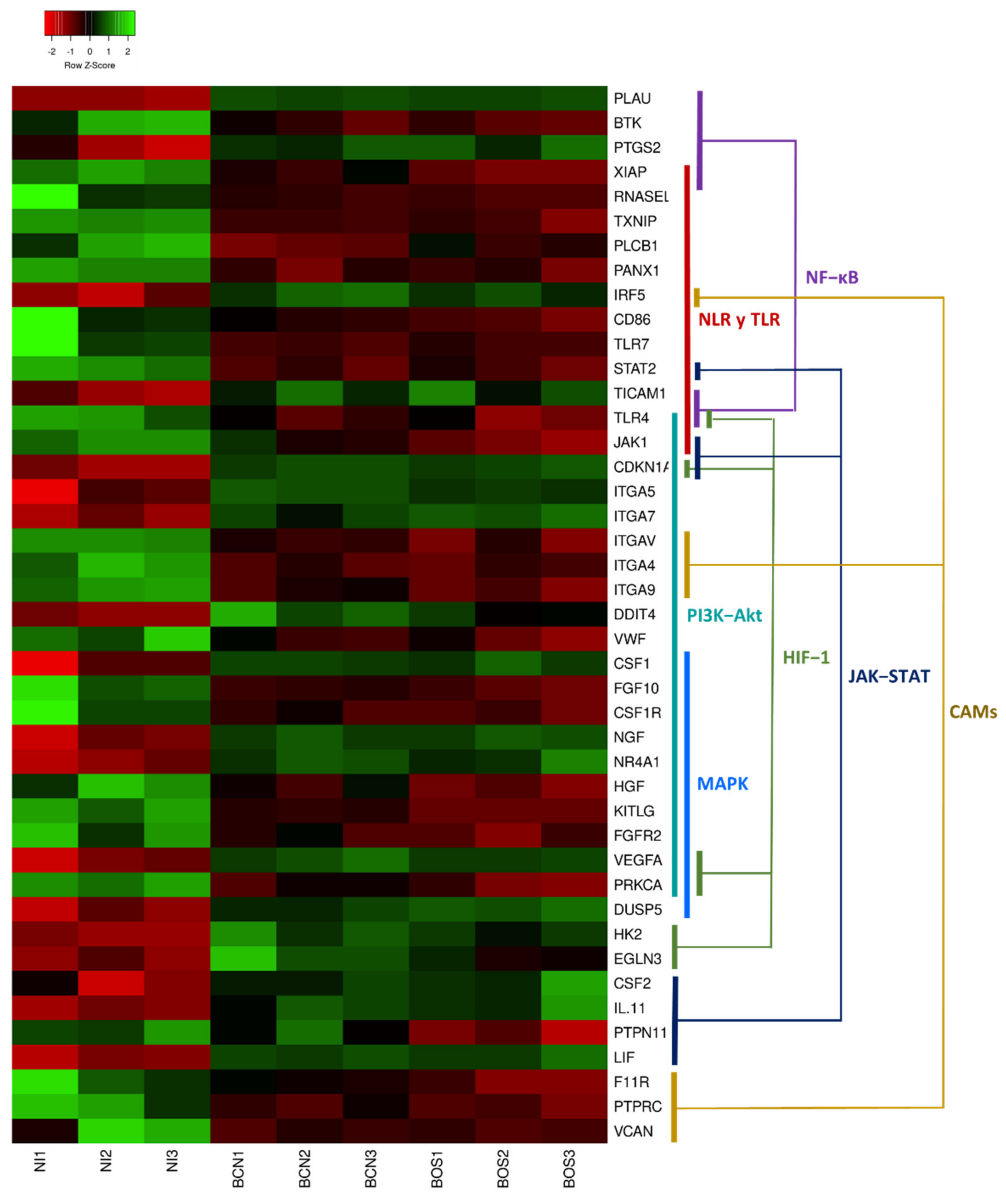 Ijms 23 01466 g005 Ijms 23 01466 g005