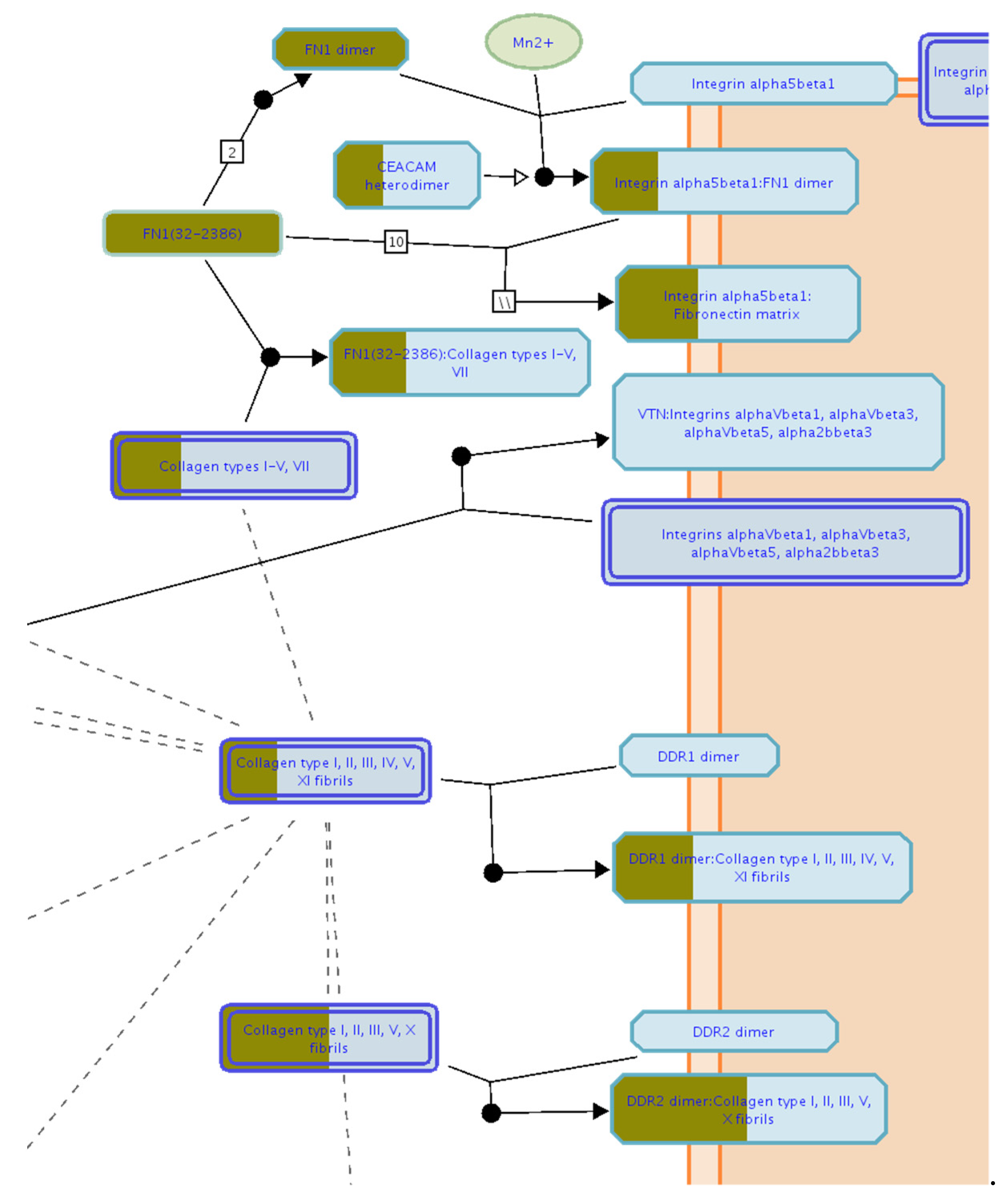 Ijms 23 01468 g004 550