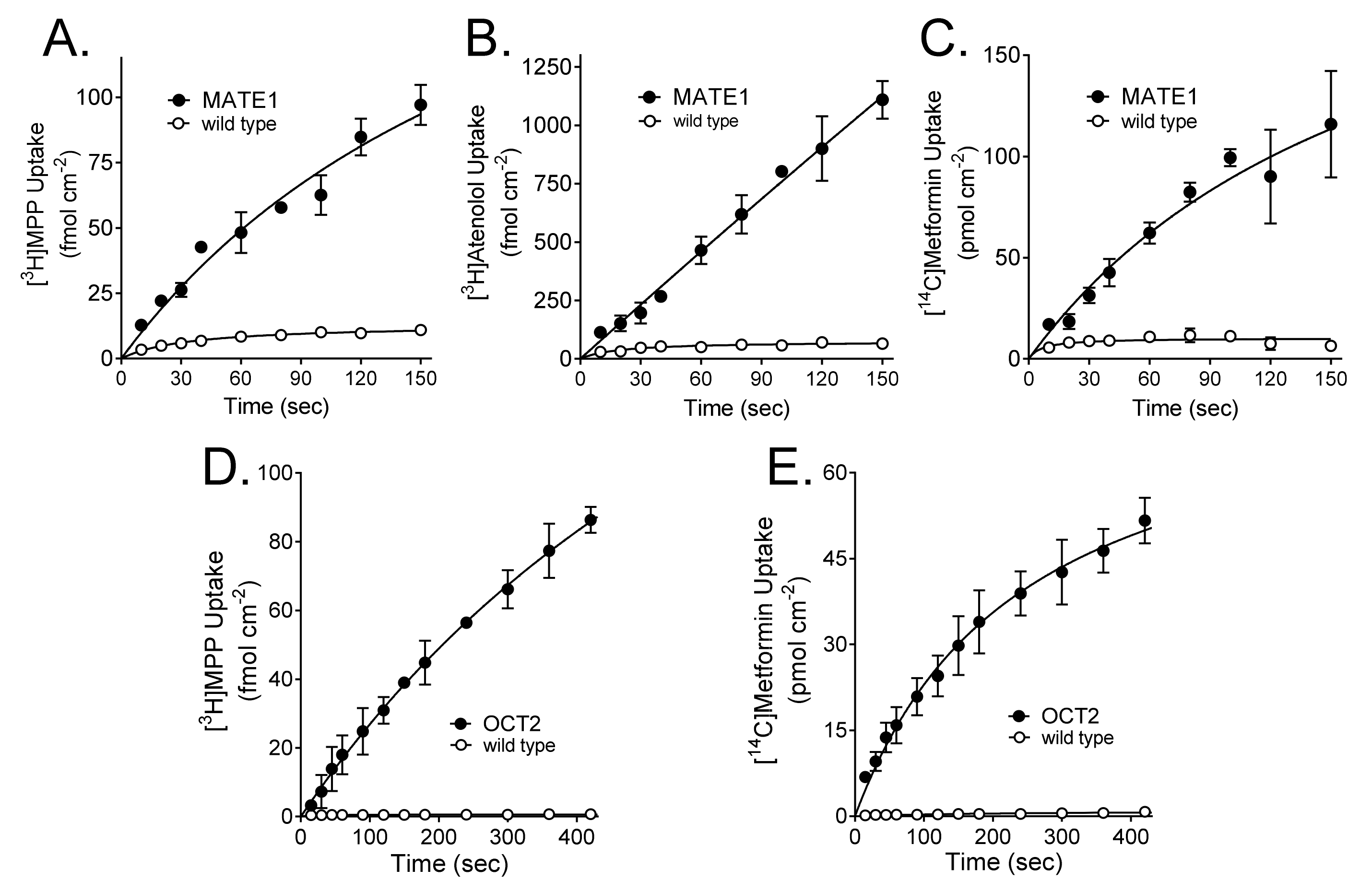 Ijms 23 01472 g001 Ijms 23 01472 g001