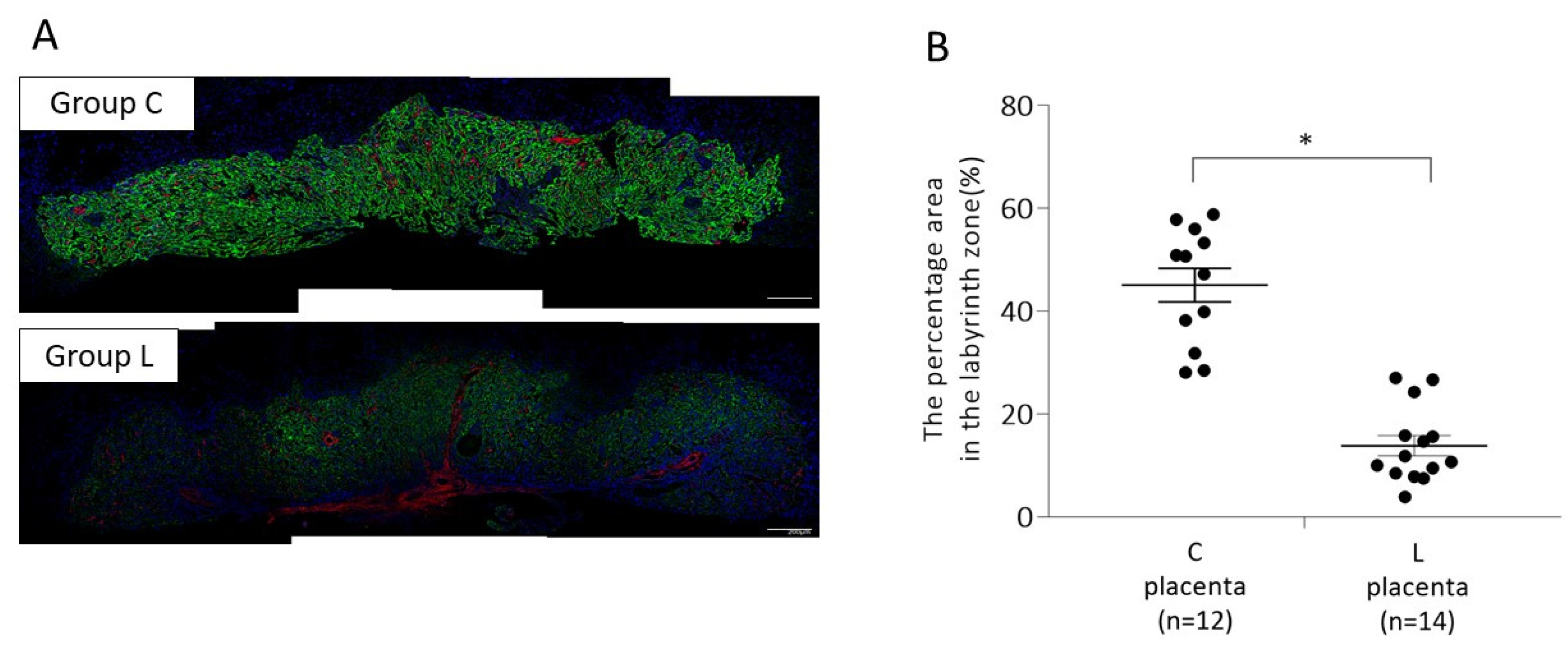 Ijms 23 01474 g001 550