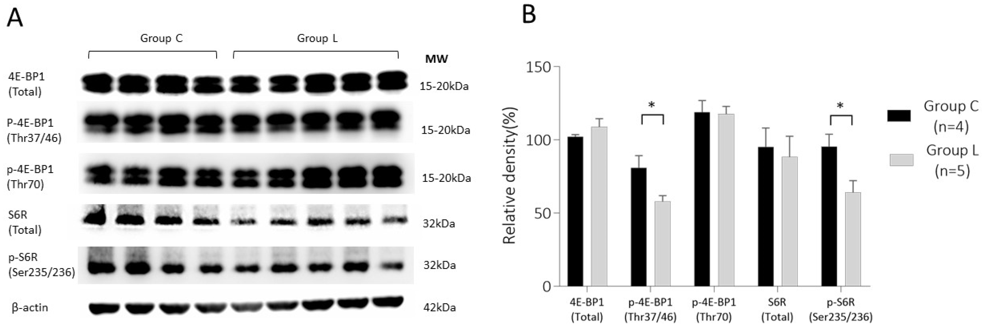 Ijms 23 01474 g003 550