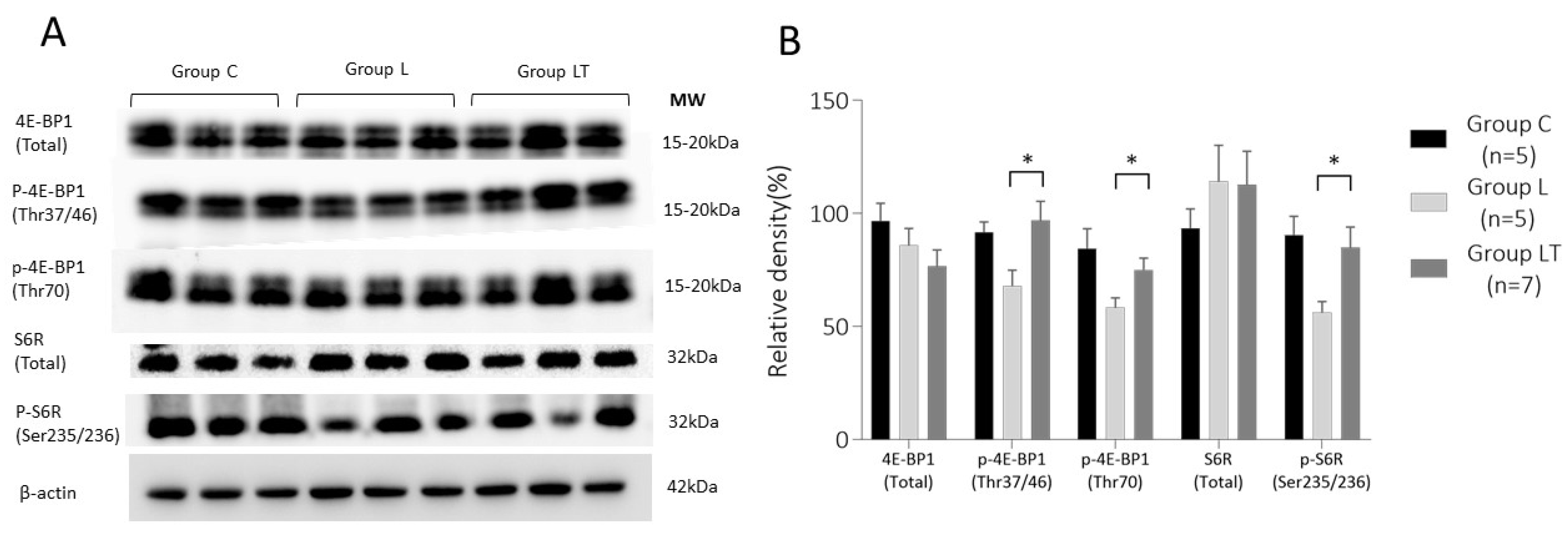 Ijms 23 01474 g004 550