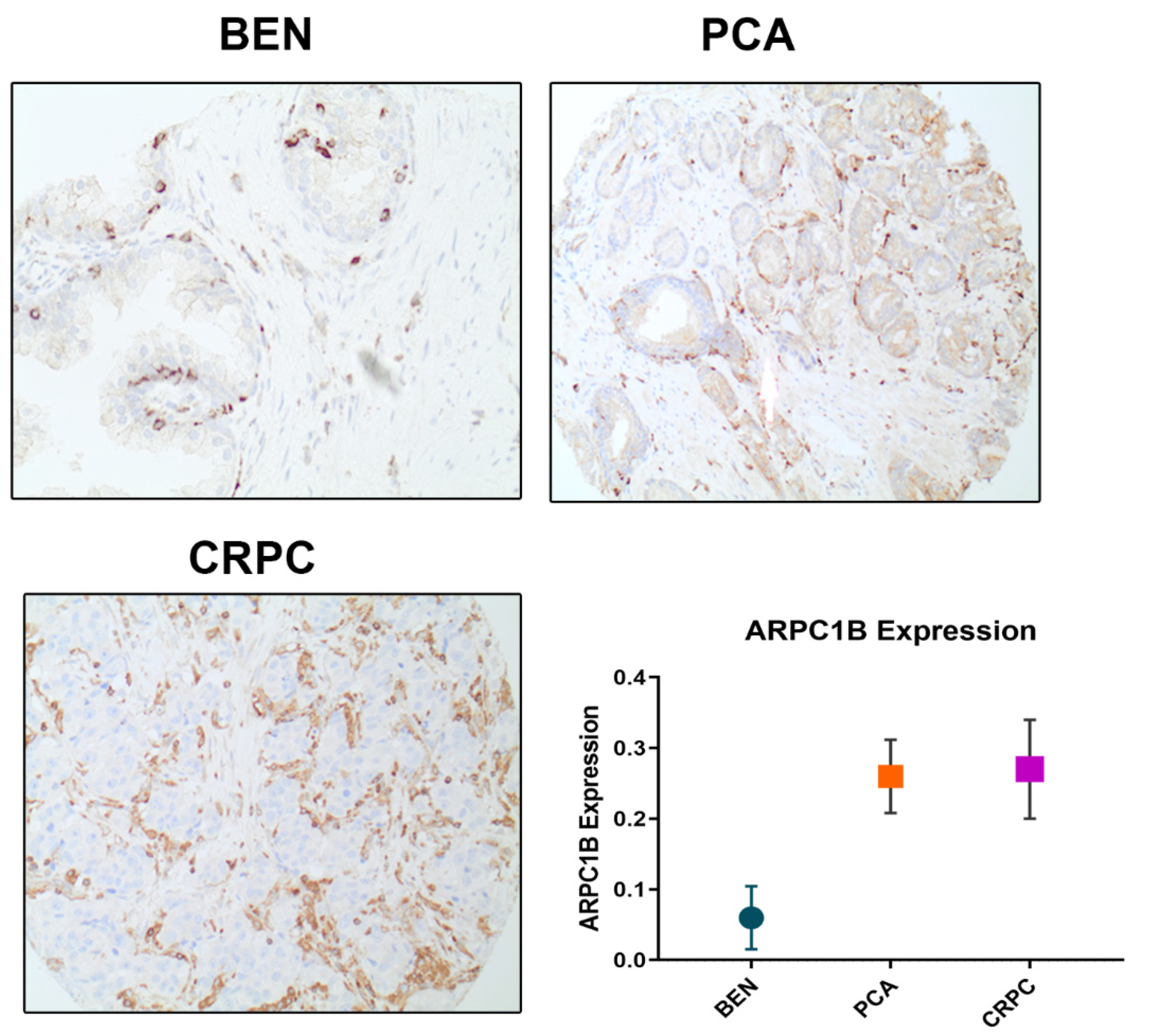 Ijms 23 01476 g001 550