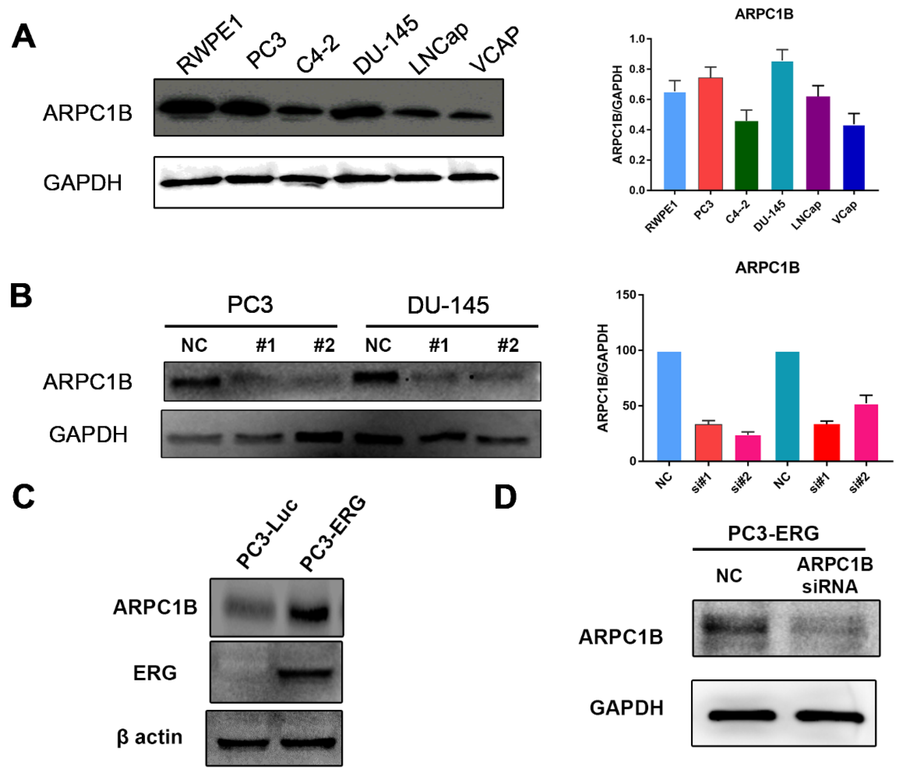Ijms 23 01476 g004 550