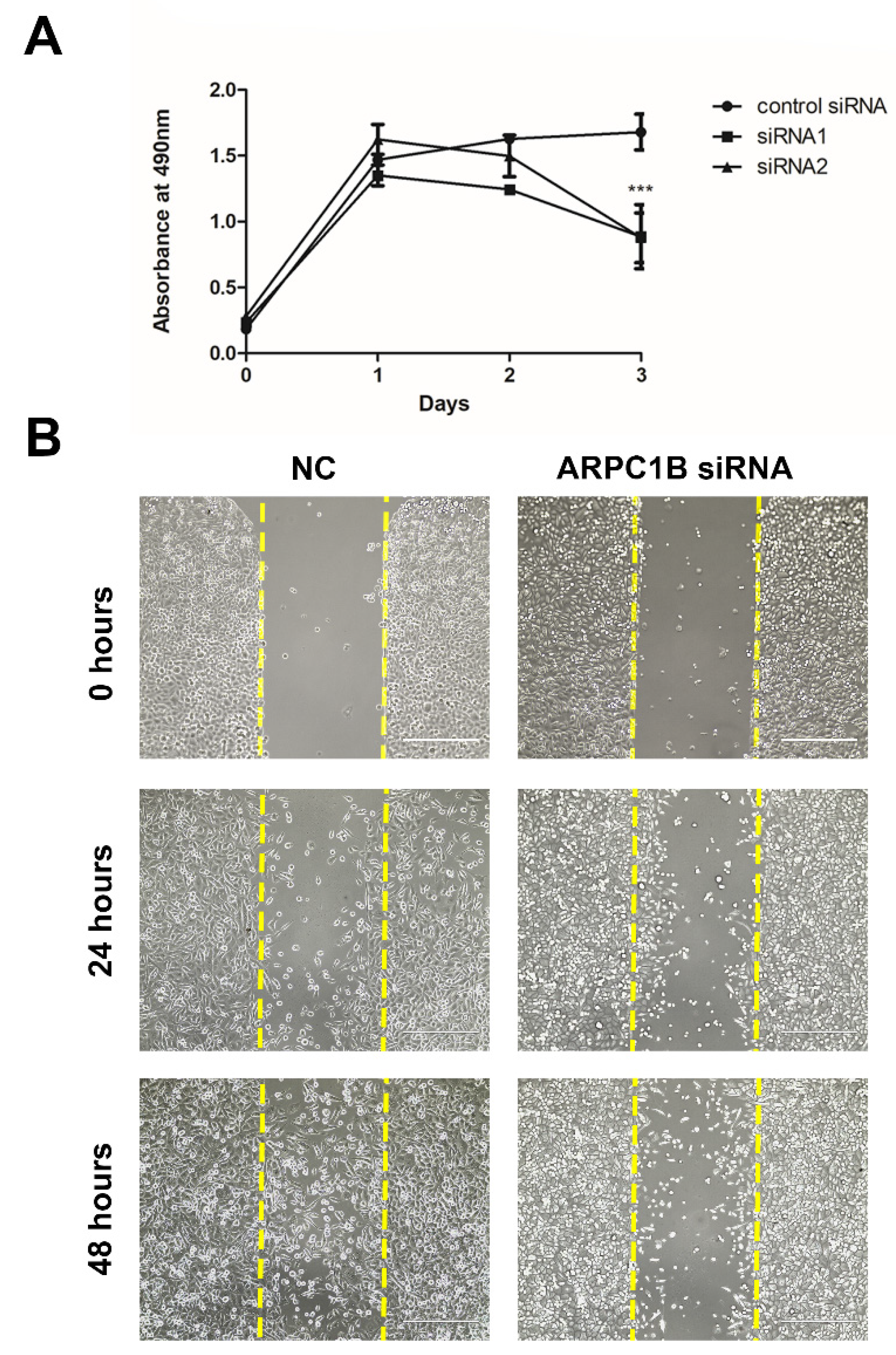 Ijms 23 01476 g005 550