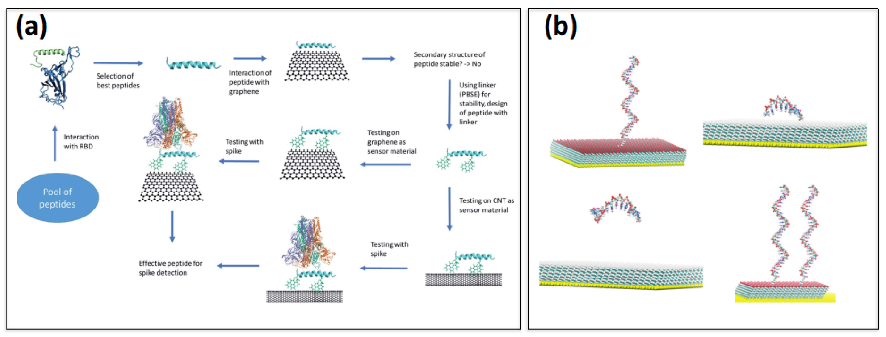 Ijms 23 01484 g002 550
