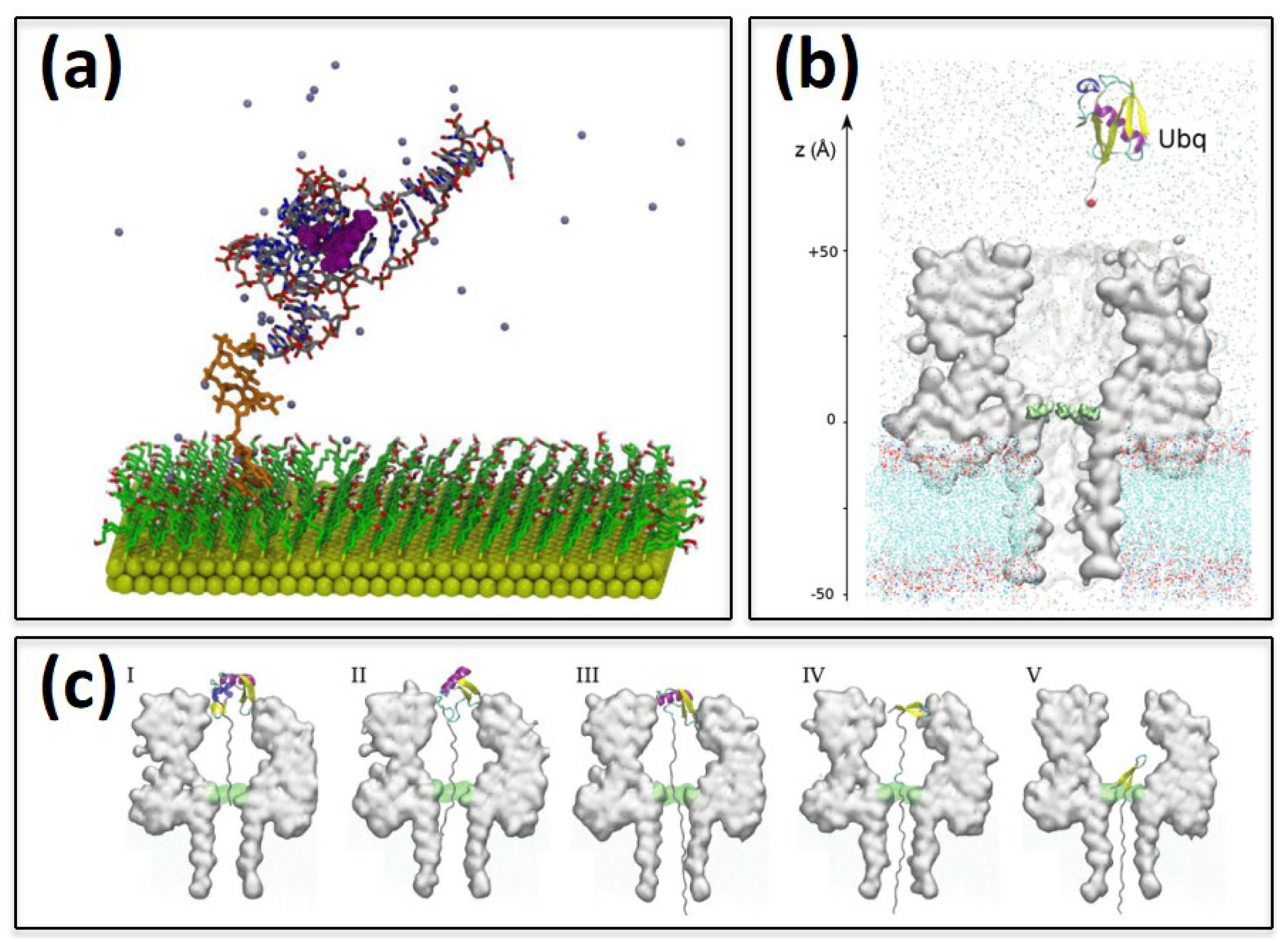 Ijms 23 01484 g004 550