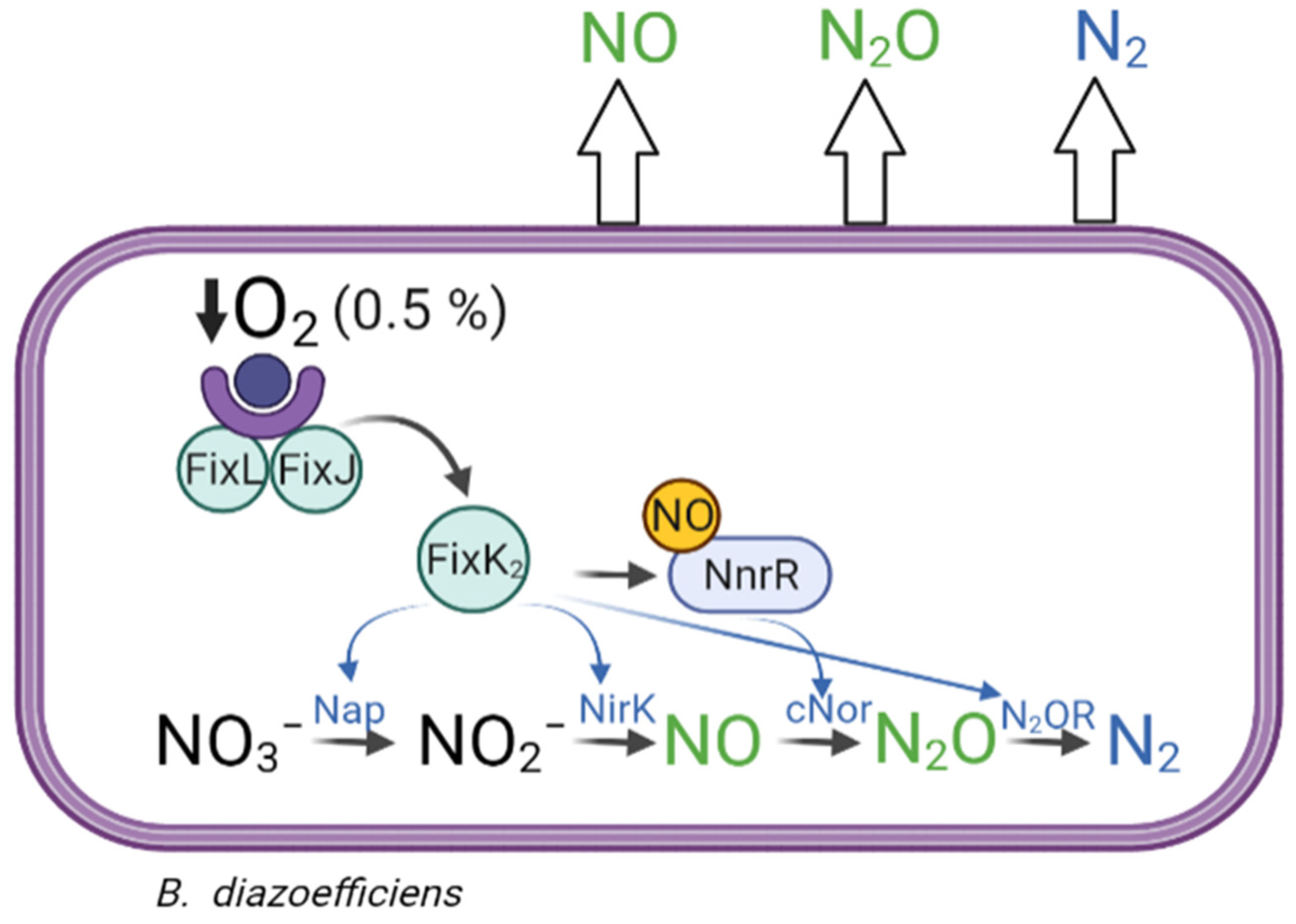 Ijms 23 01486 g001 550