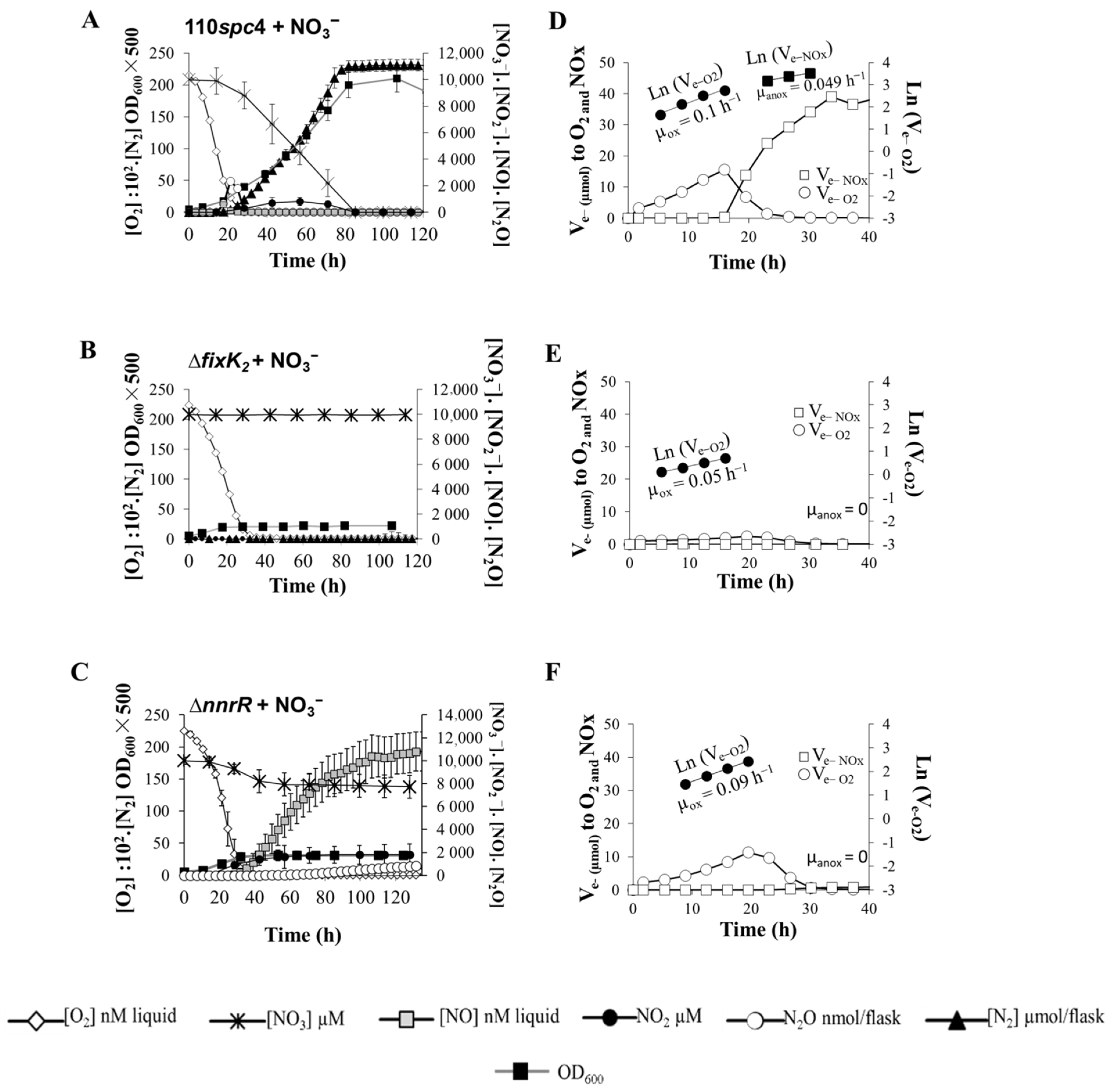 Ijms 23 01486 g002 550