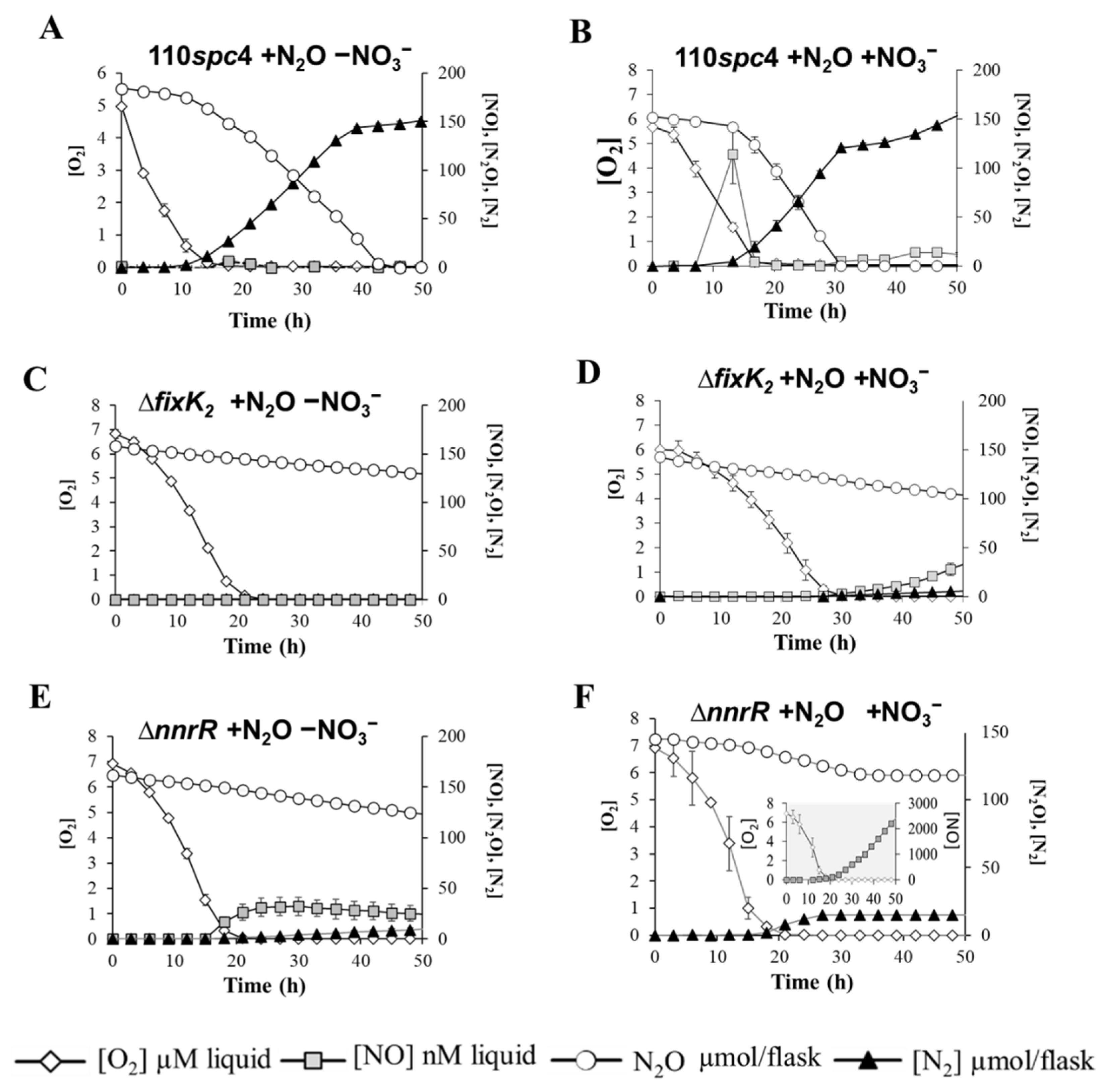 Ijms 23 01486 g003 550