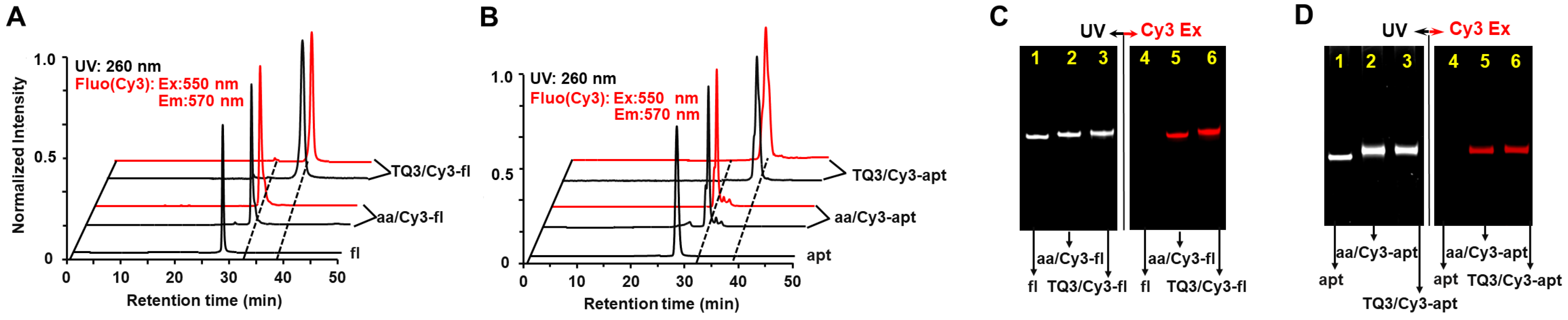 Ijms 23 01493 g003 Ijms 23 01493 g003