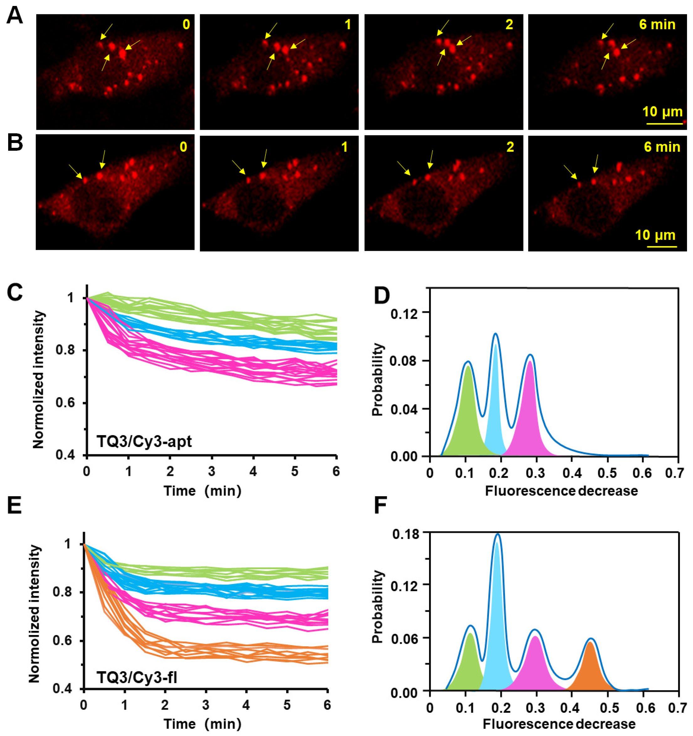 Ijms 23 01493 g007 Ijms 23 01493 g007