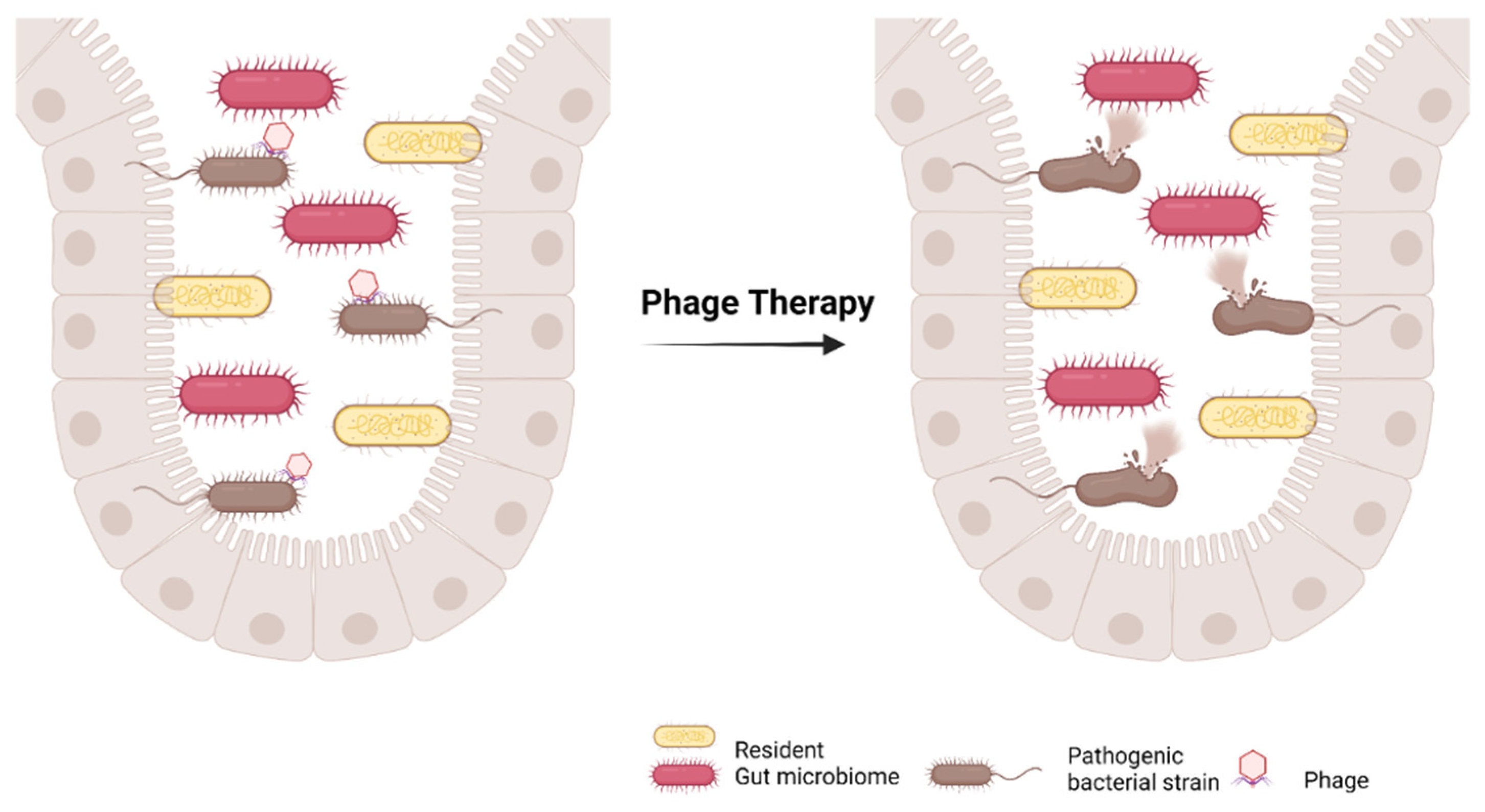 Ijms 23 01494 g004 550