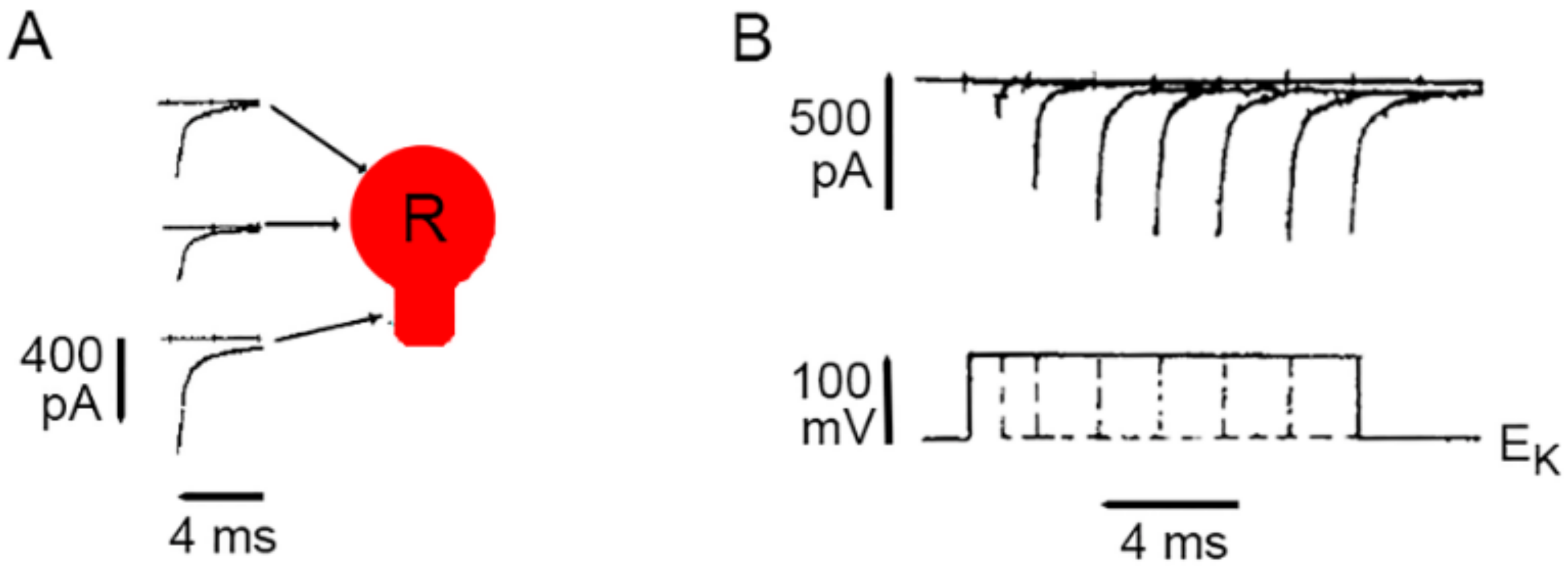 Ijms 23 01495 g002 Ijms 23 01495 g002