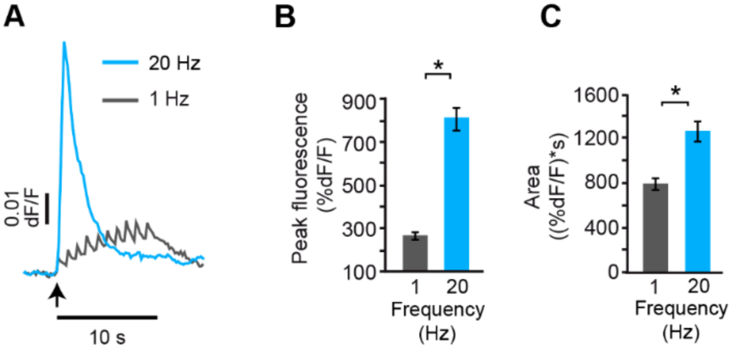 Ijms 23 01495 g005 Ijms 23 01495 g005