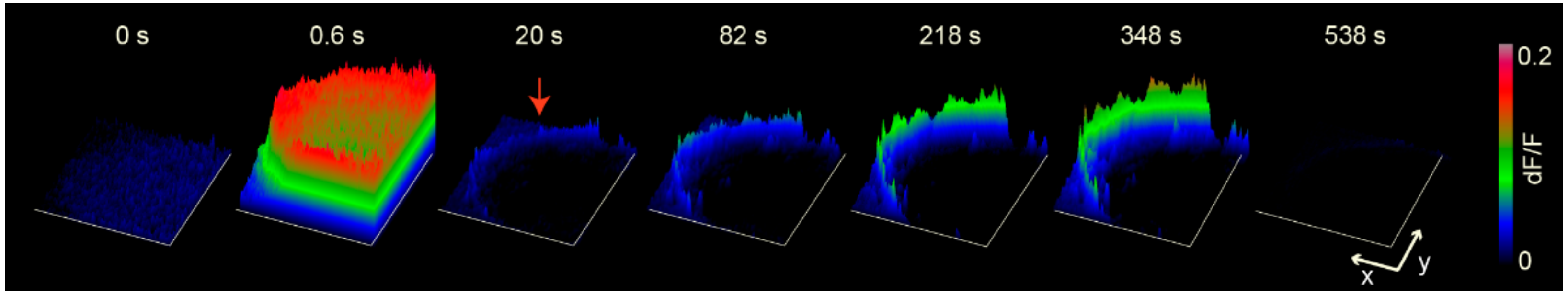 Ijms 23 01495 g006 Ijms 23 01495 g006